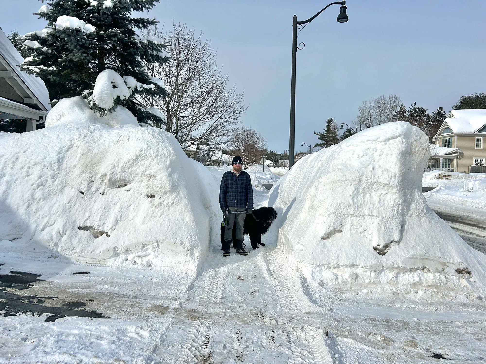 14 Unbelievably Large Oddities You Simply Must See! 🤯🐾 21 Absolute Units of a snowbank