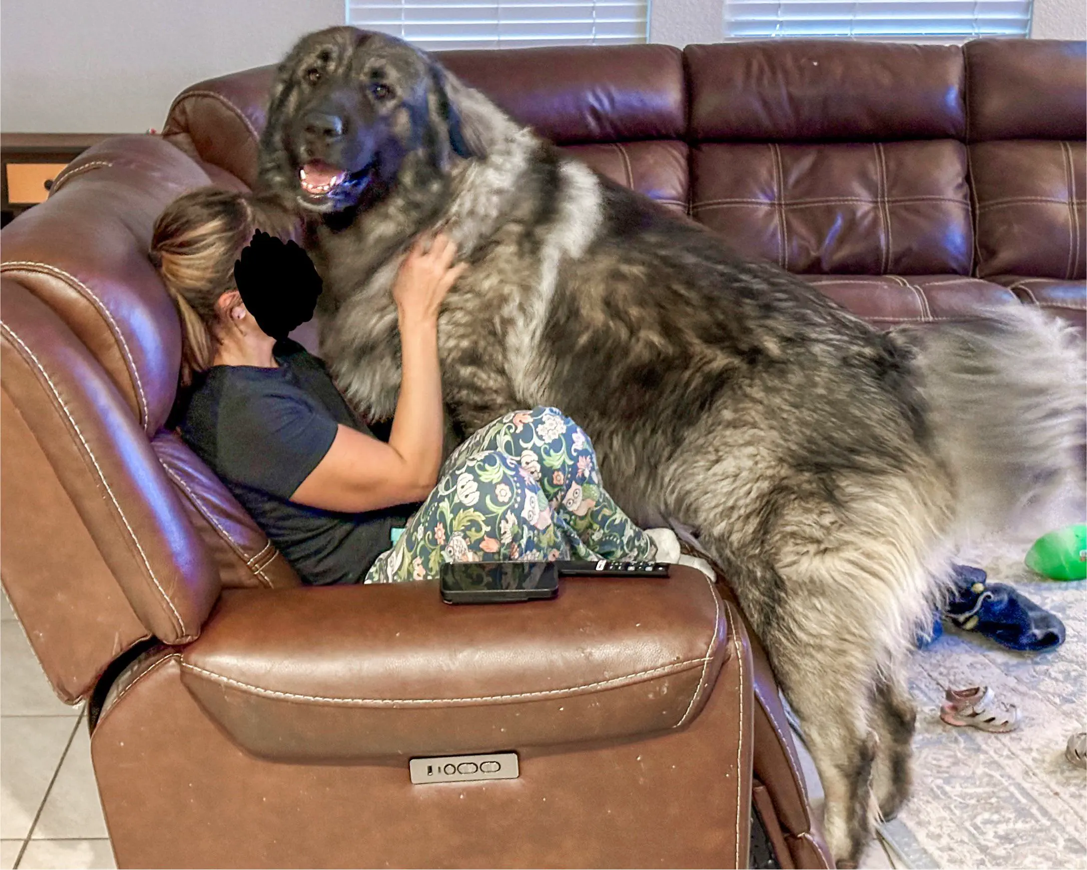 12 Truly Monumental Beasts That Will Astound You! đŠ 26 Absolute Units of a snuggle buddy
