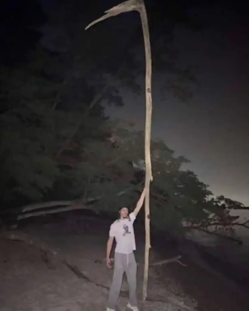 15 Amazing Oversized Wonders You Have to Experience! đ 12 absolute units of a stick