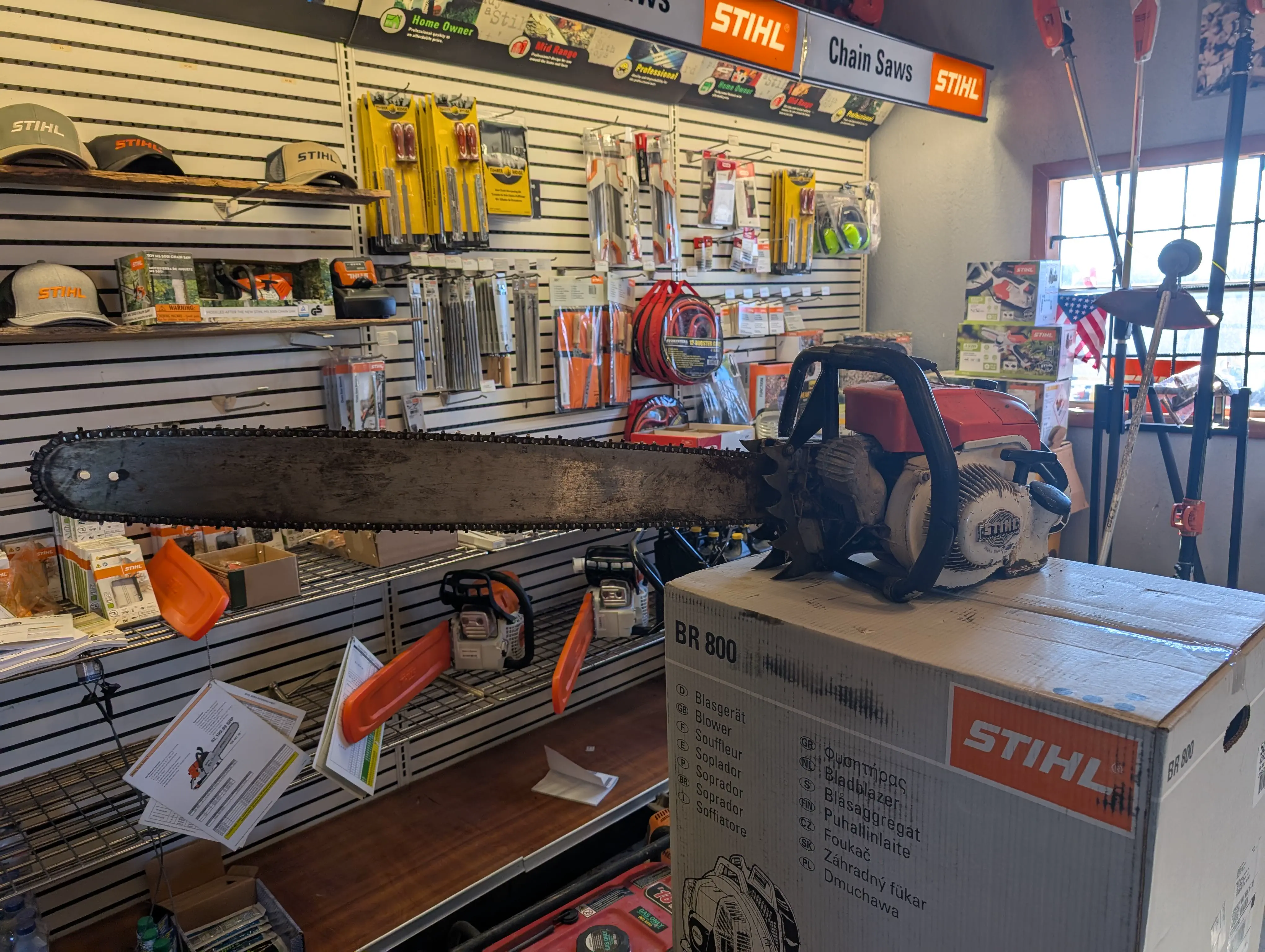 20 Mind-Blowing Behemoths That Redefine Huge! 🦀🦐 30 Absolute Units of a Stihl chainsaw