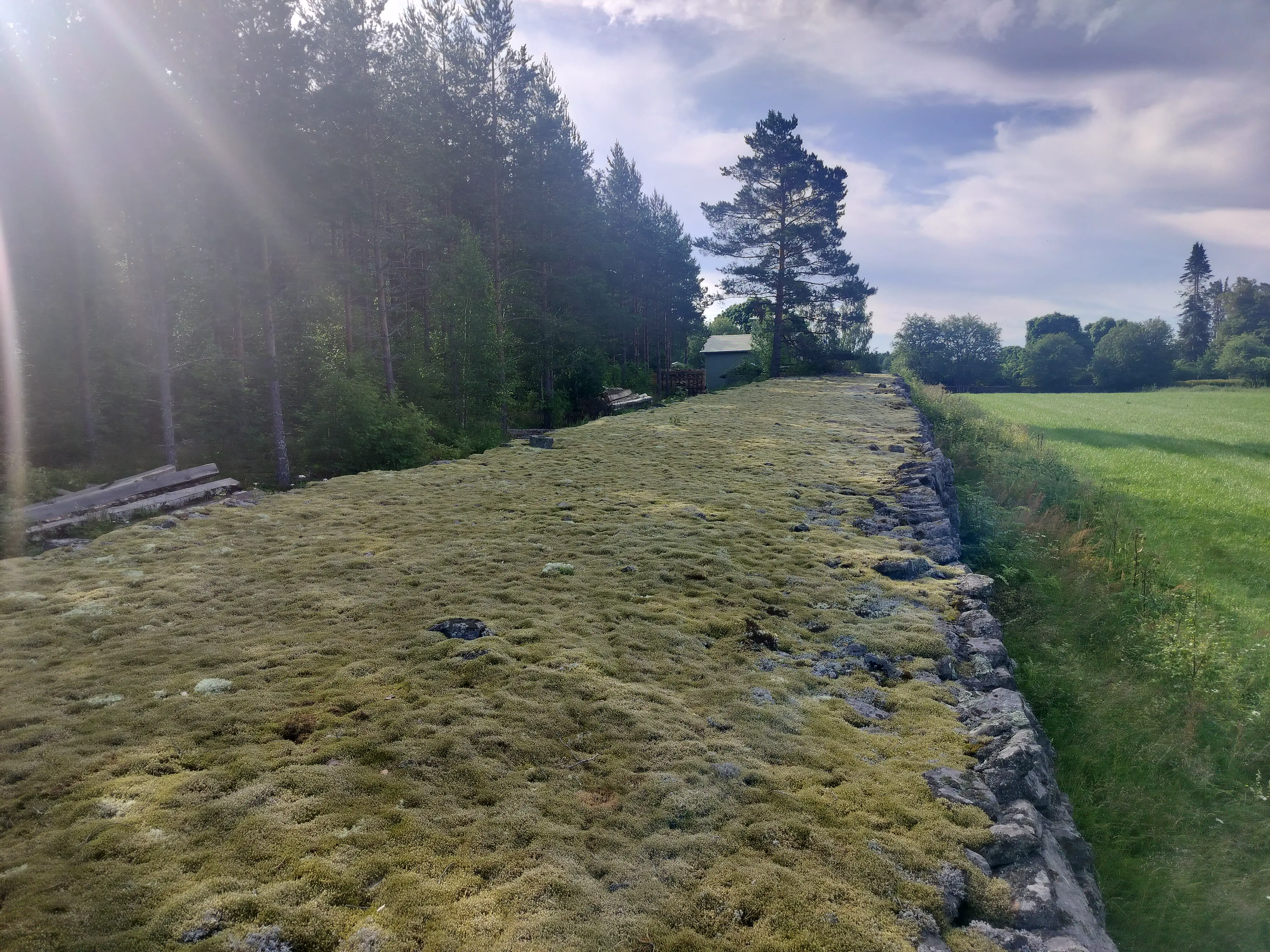 10 Absolutely Stunning Oddities That Will Blow Your Mind! đ„ 16 Absolute Units of a stonewall (about 6ft tall, 20+ ft wide)