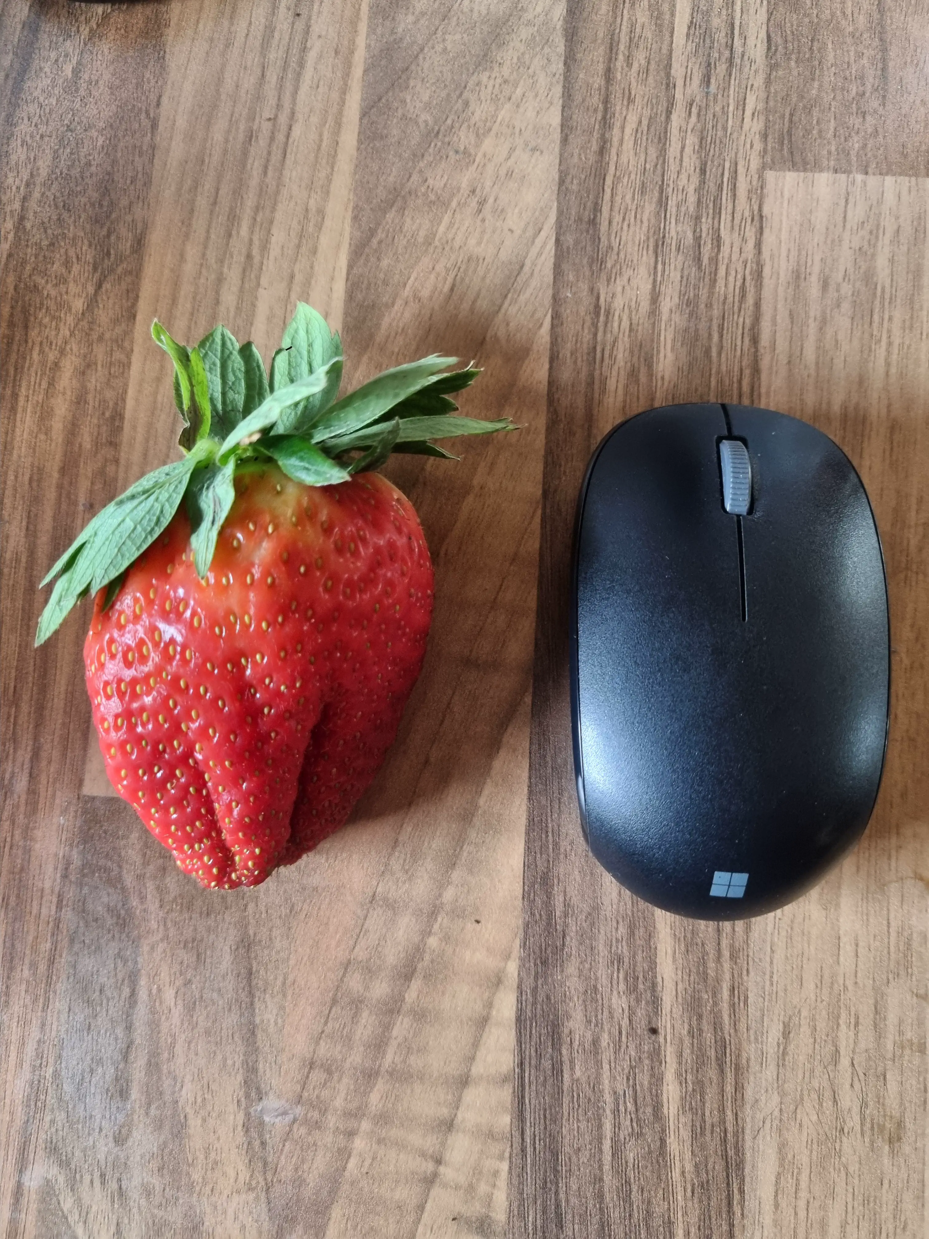 20 Mind-Blowing Behemoths That Redefine Huge! 🦀🦐 25 Absolute Units of a strawberry