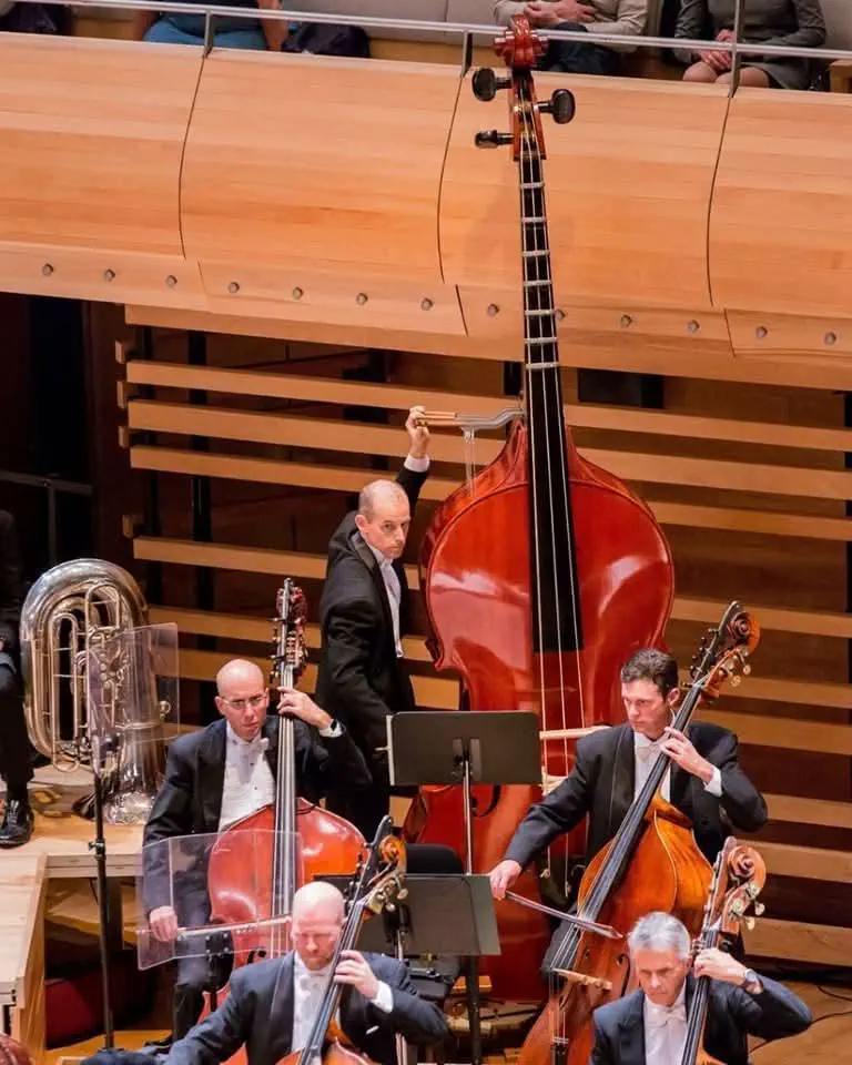 14 Unbelievably Large Oddities You Simply Must See! 🤯🐾 18 Absolute Units of a stringed instrument. The 11 foot tall Octobass
