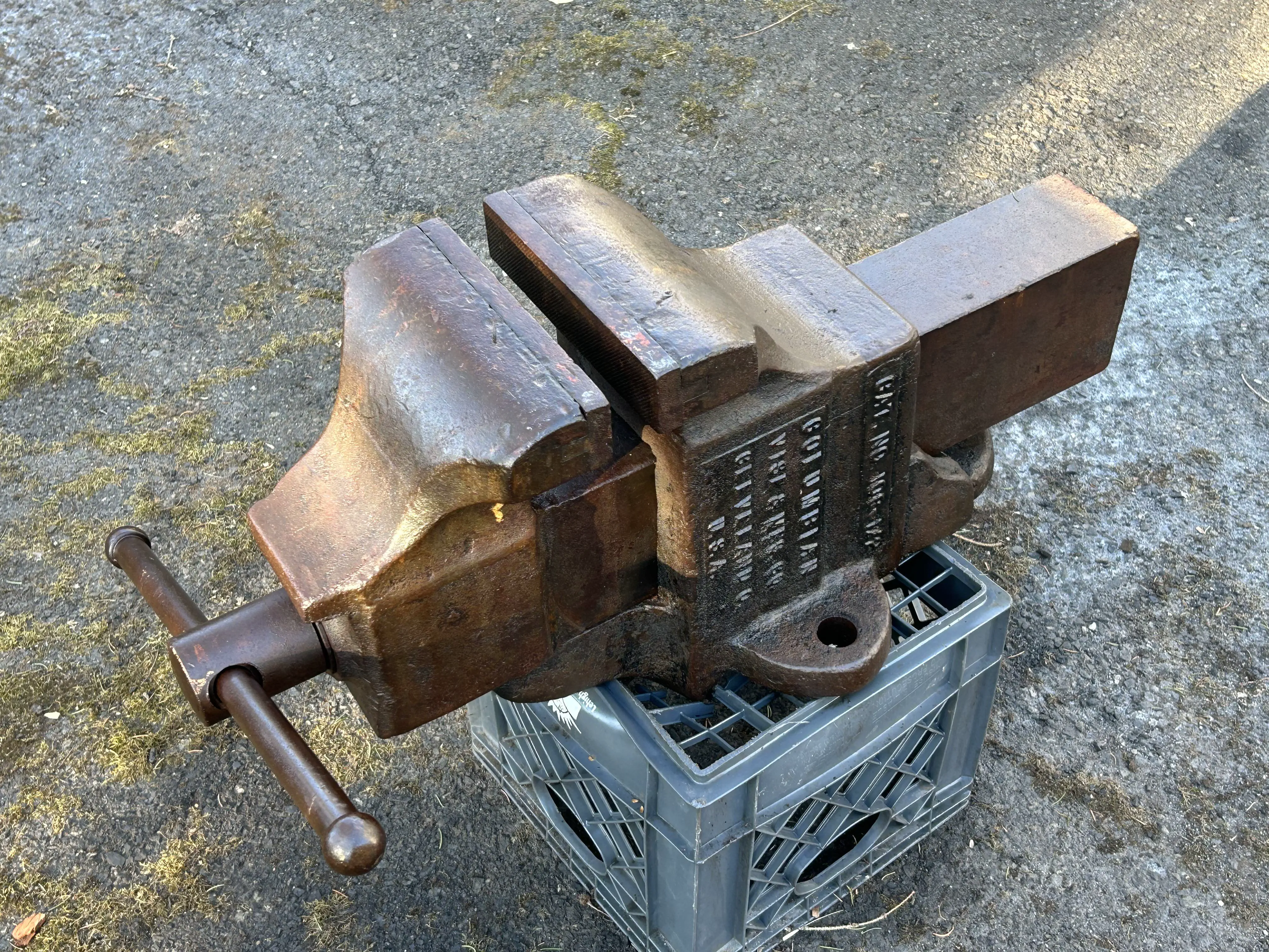 23 Remarkable Giants That Will Change Your Idea of 'Big' đ 41 Absolute Units of a vise