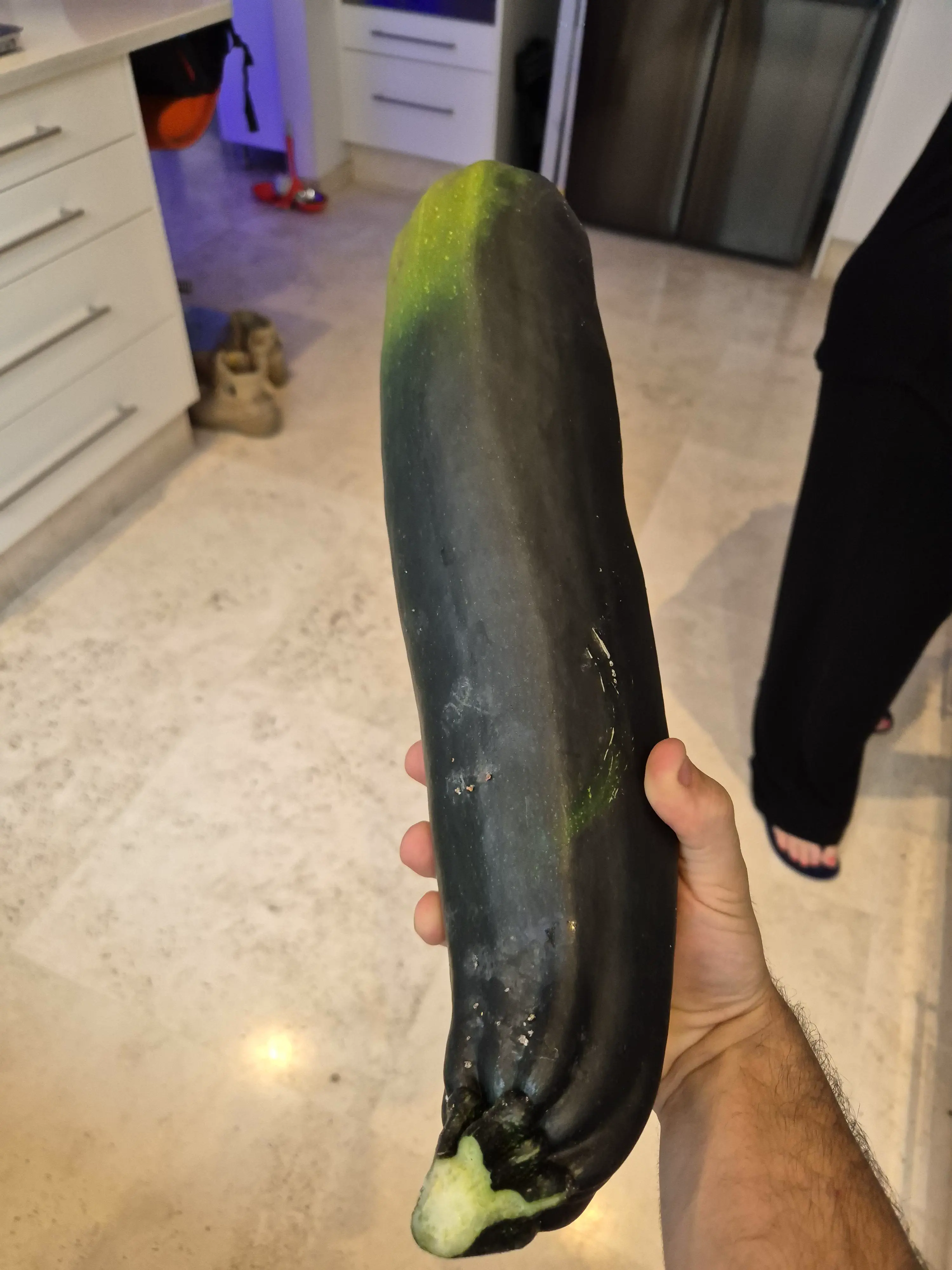 23 Remarkable Giants That Will Change Your Idea of 'Big' đ 45 Absolute Units of a zucchini we grew