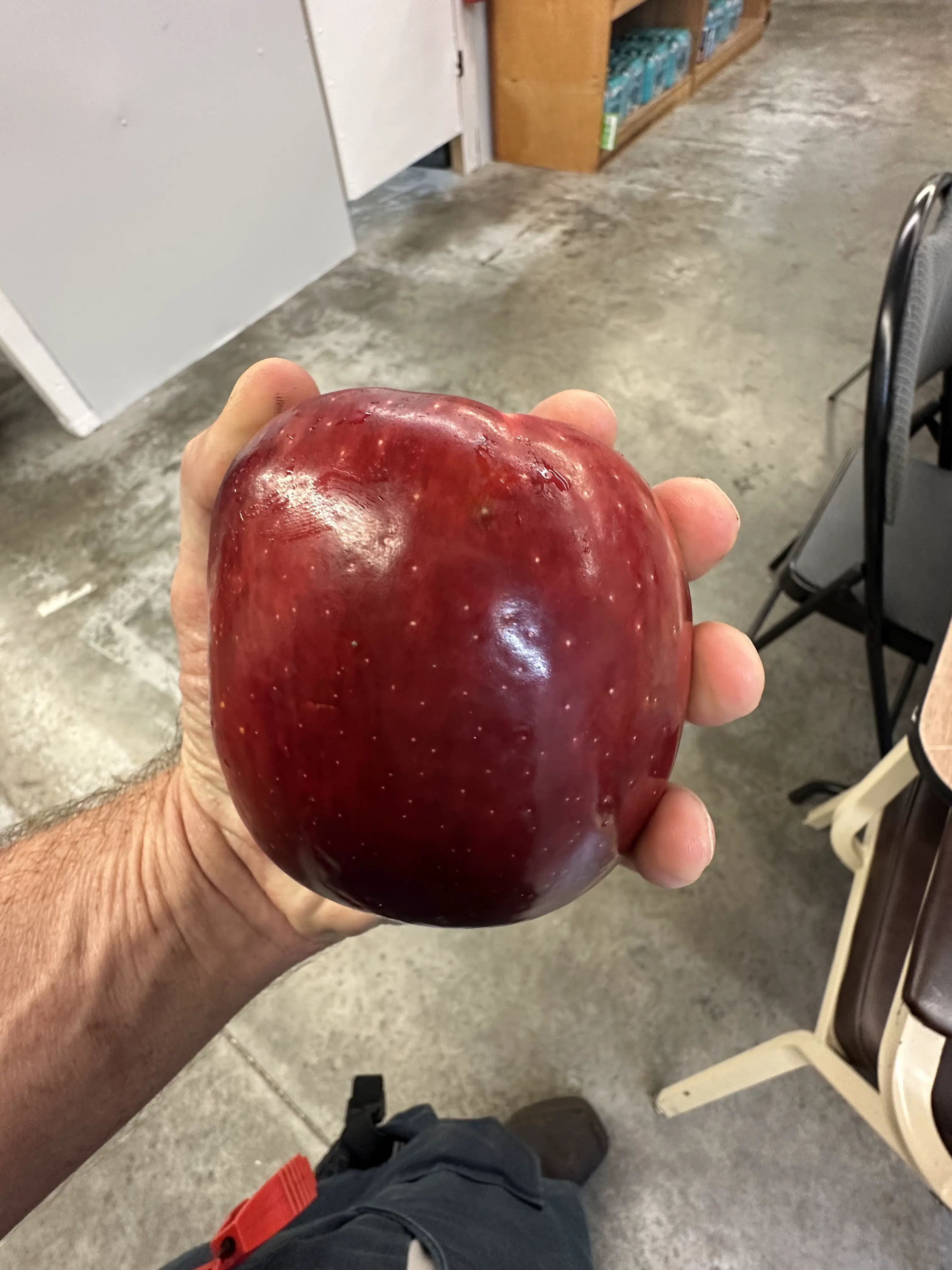 12 Truly Monumental Beasts That Will Astound You! đŠ 15 Absolute Units of an Apple!!!