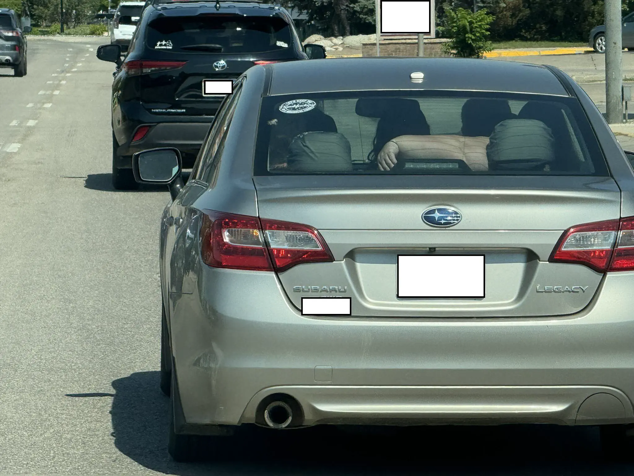 13 Extraordinary Absolute Units That Will Startle You! 🐾 23 Absolute Units of an arm