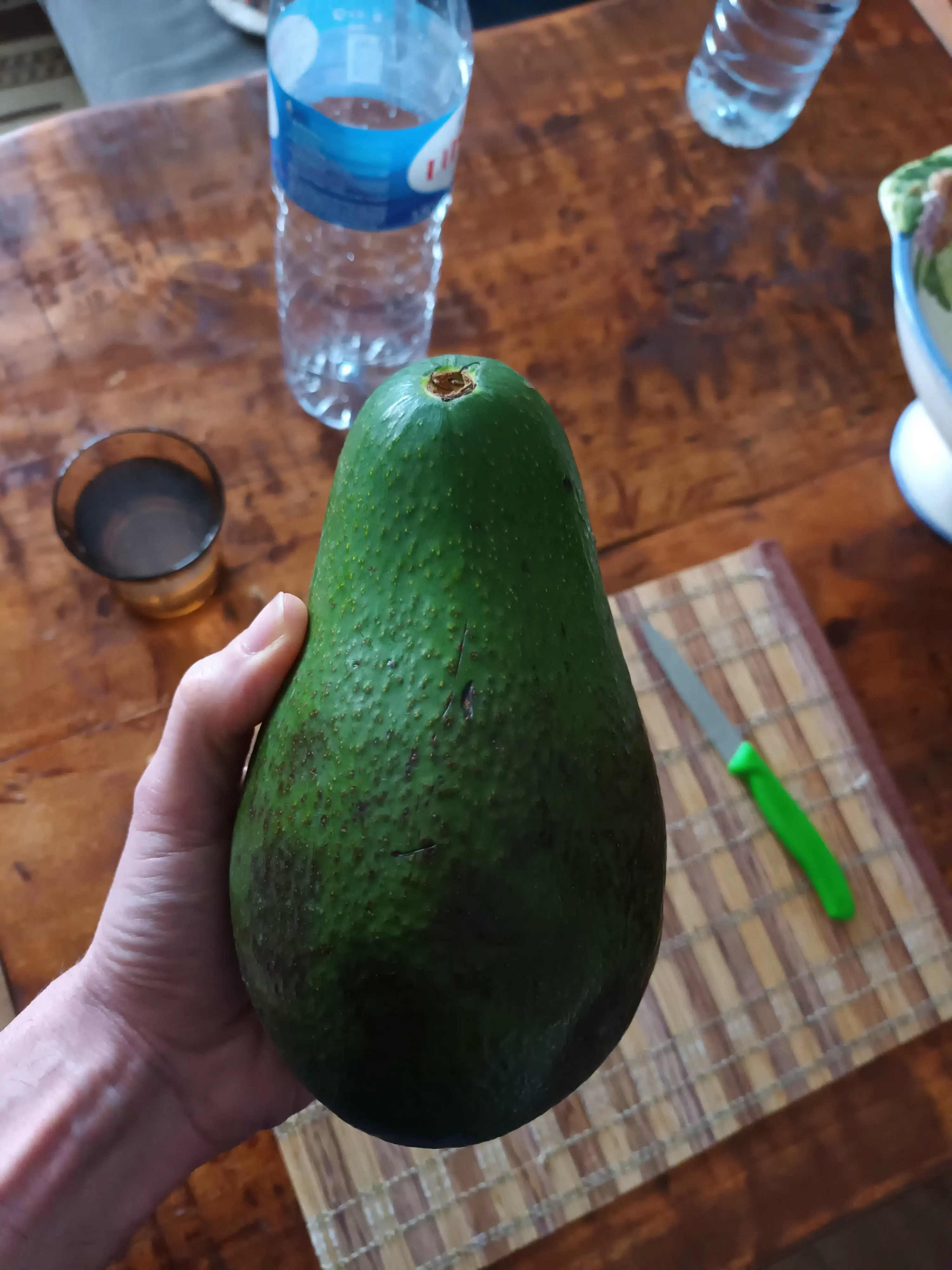 19 Absolutely Massive Oddities You Can't Miss! âĄđ» 28 Absolute Units of an avocado.