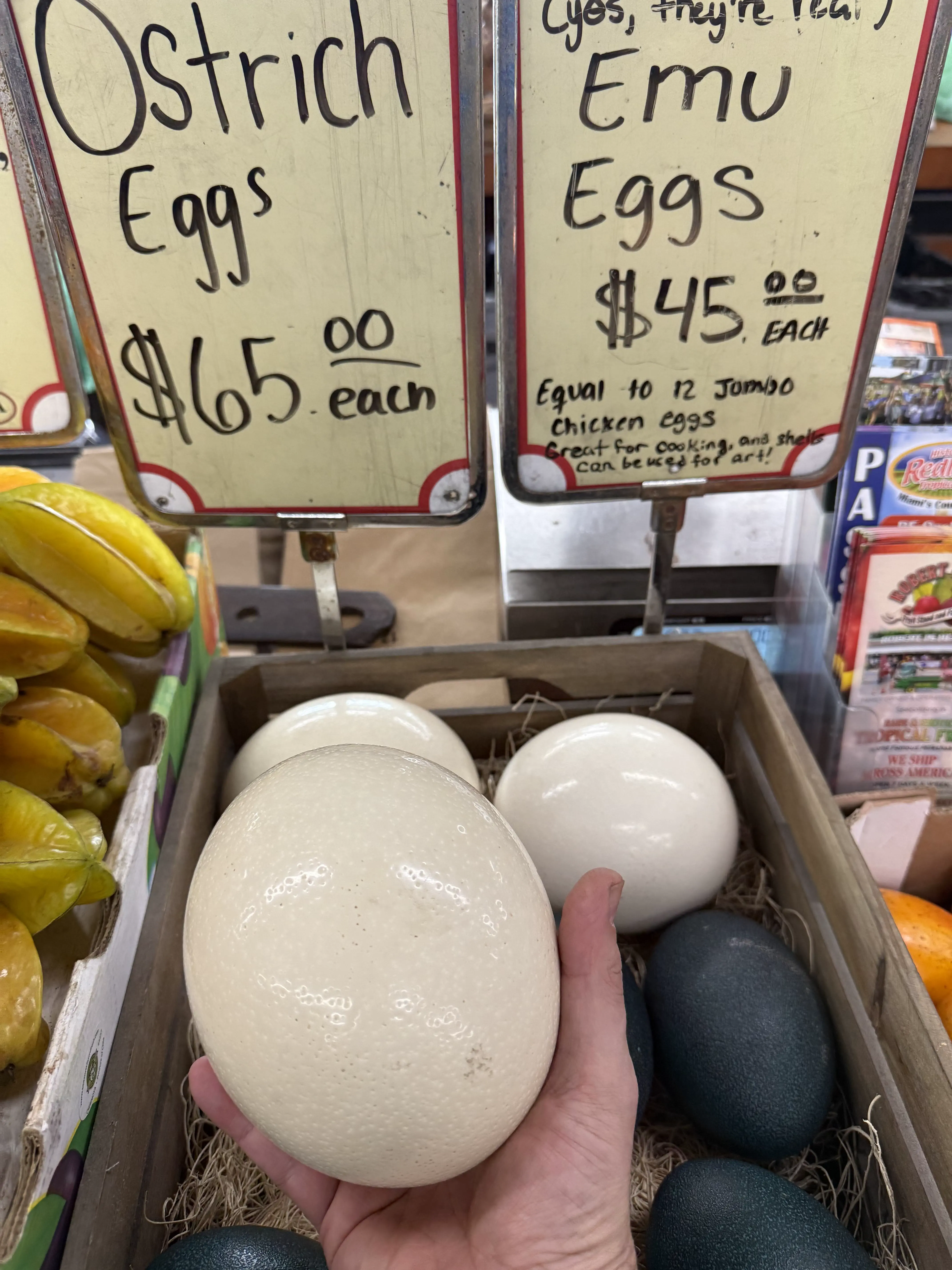 18 Enormous Oddities You Won't Believe Exist! đŠ 32 Absolute Units of an egg