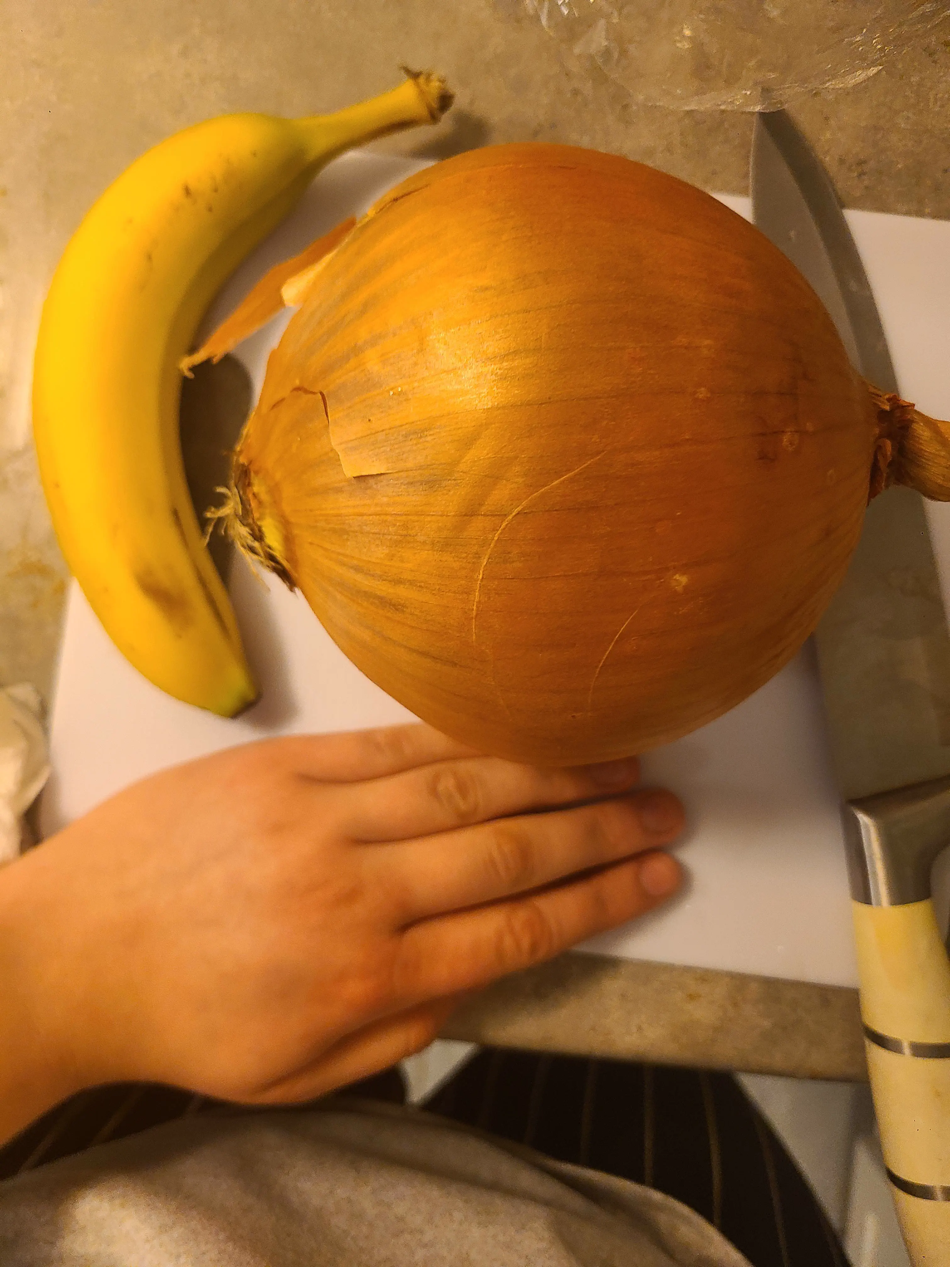 20 Mind-Blowing Behemoths That Redefine Huge! 🦀🦐 34 Absolute Units of an onion