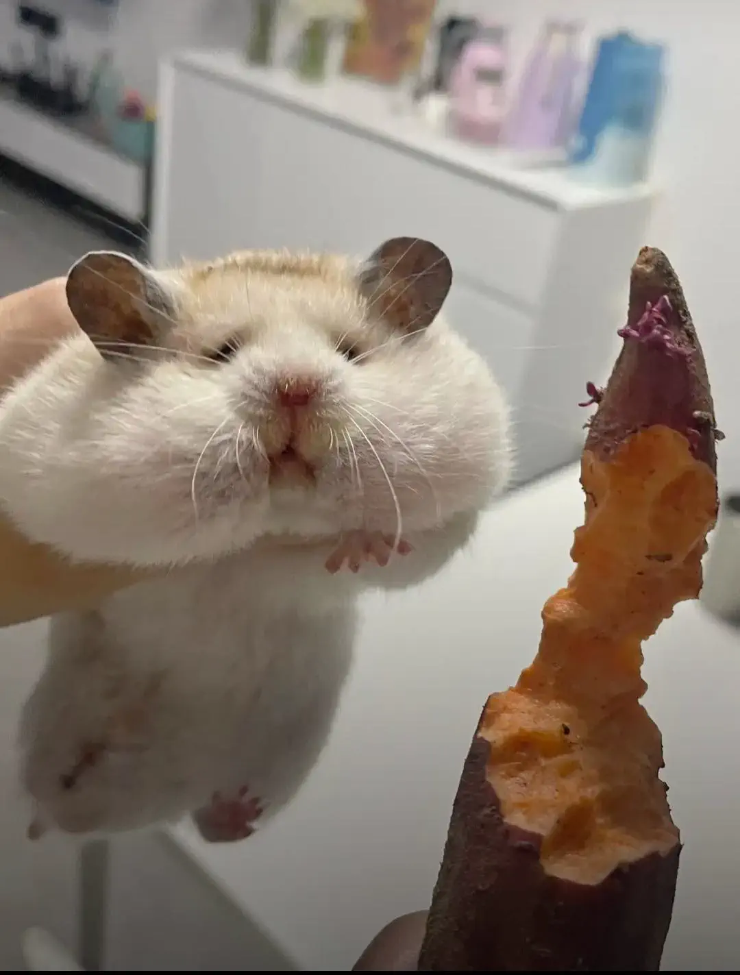 12 Over-The-Top Absolute Units That Will Take Your Breath Away! đ 24 Absolute Units of cheeks