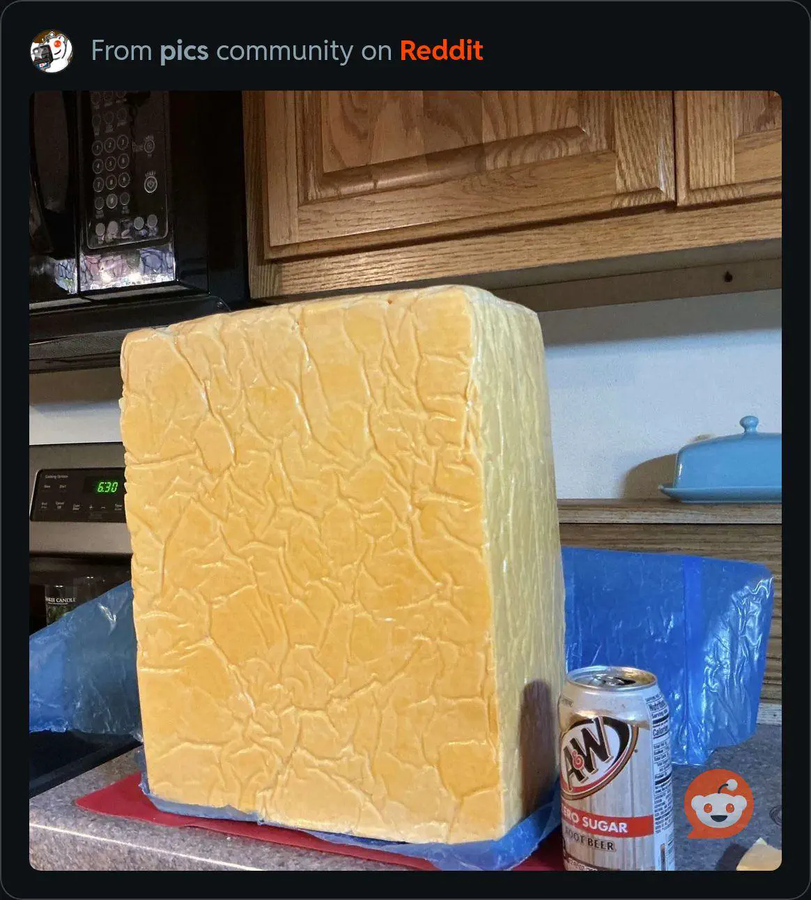 14 Unbelievably Large Oddities You Simply Must See! 🤯🐾 23 Absolute Units of cheese