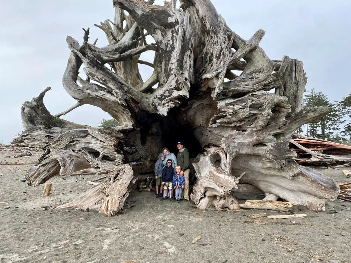 13 Extraordinary Absolute Units That Will Startle You! 🐾 28 Absolute Units of driftwood