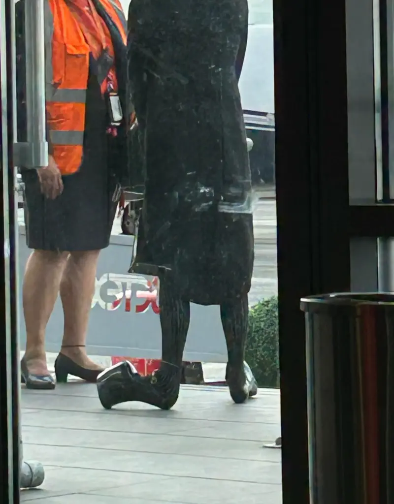 23 Remarkable Giants That Will Change Your Idea of 'Big' 🌍 74 absolute units of lady gagas shoes