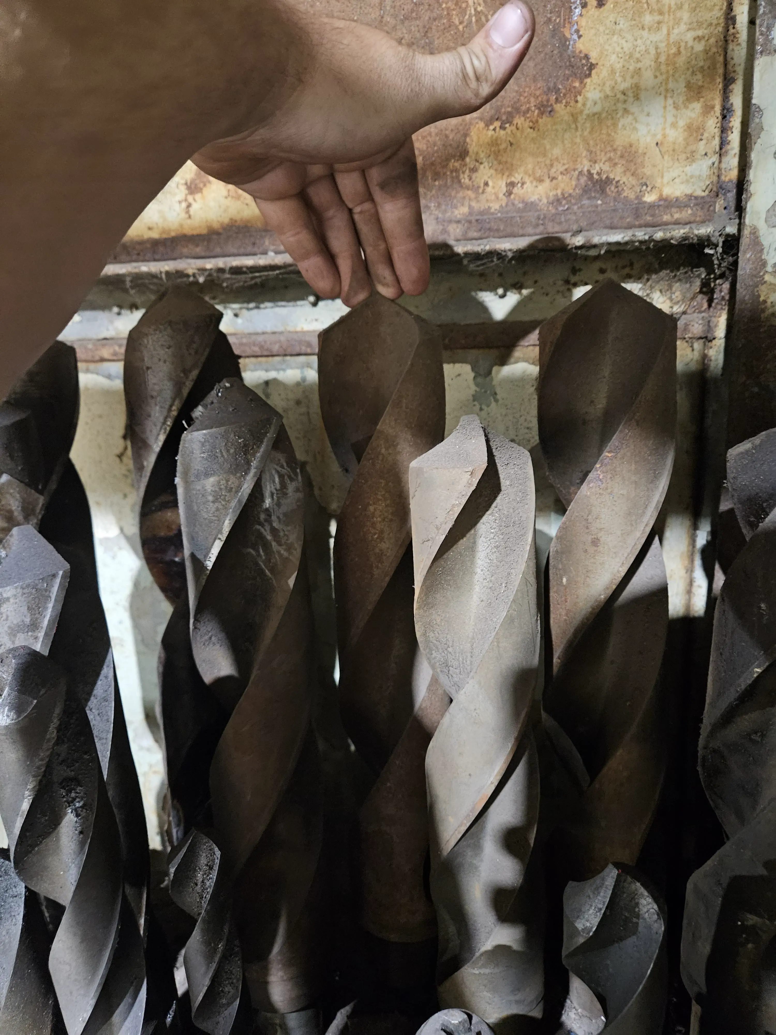 20 Extraordinary Beasts That Challenge Our Definition of Big! đŠ 35 Absolute Units of many drill bits