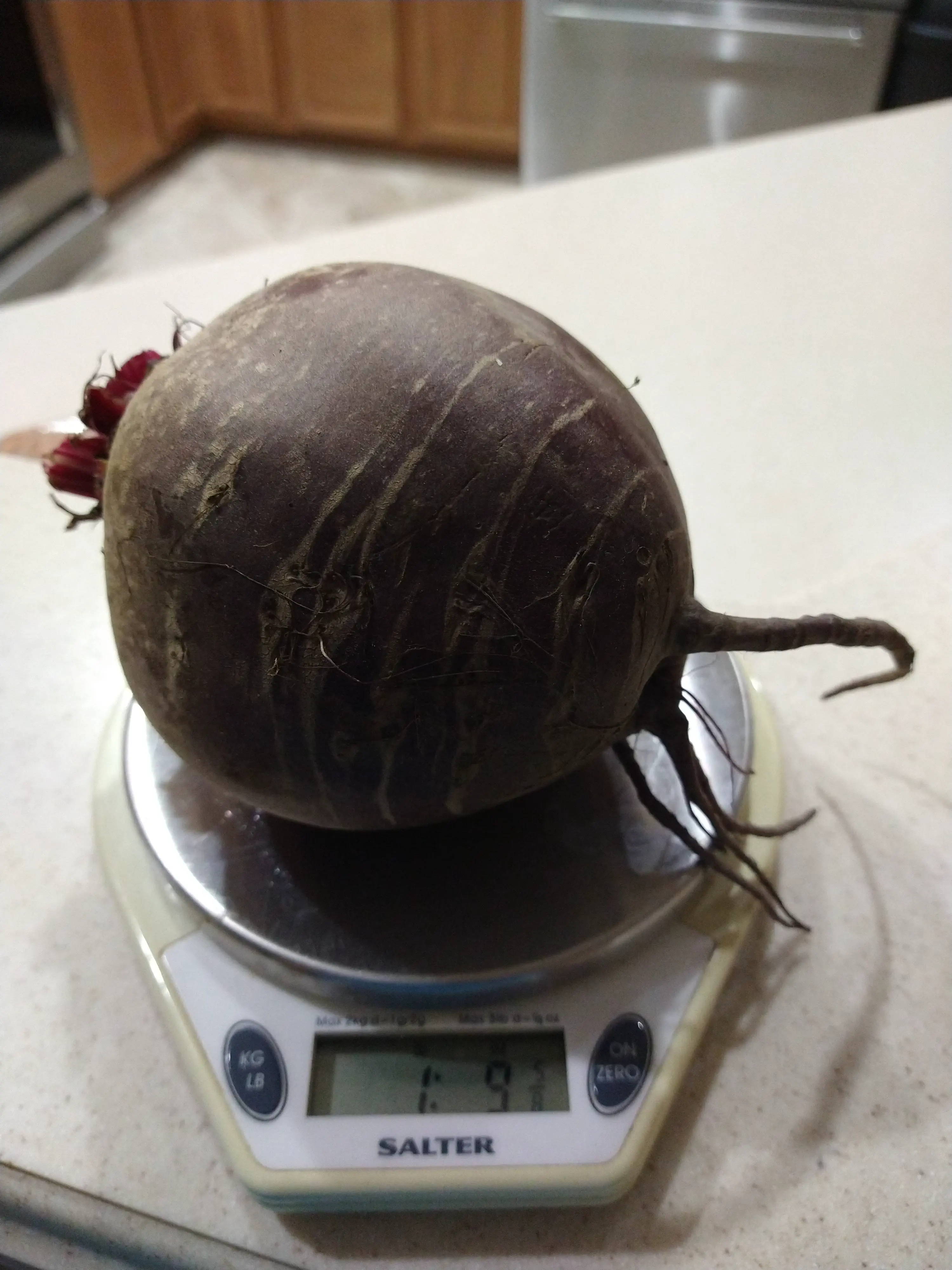 13 Mind-Blowing Absolute Units You Won't Believe Exist! đ€Ż 17 Absolute Units This absolute unit of a beet.