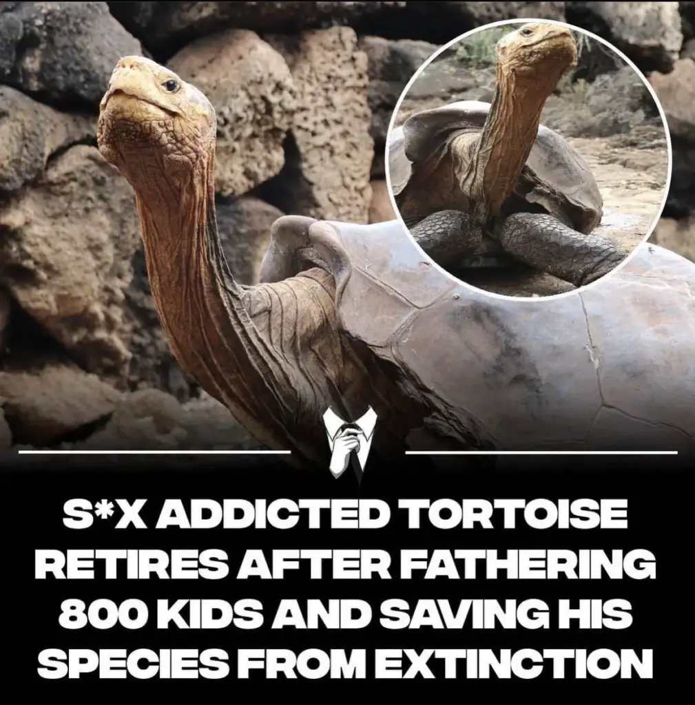 Witness 8 Astonishing Absolute Units That Will Dazzle You! ✨ 10 absolute units enjoy retirement king