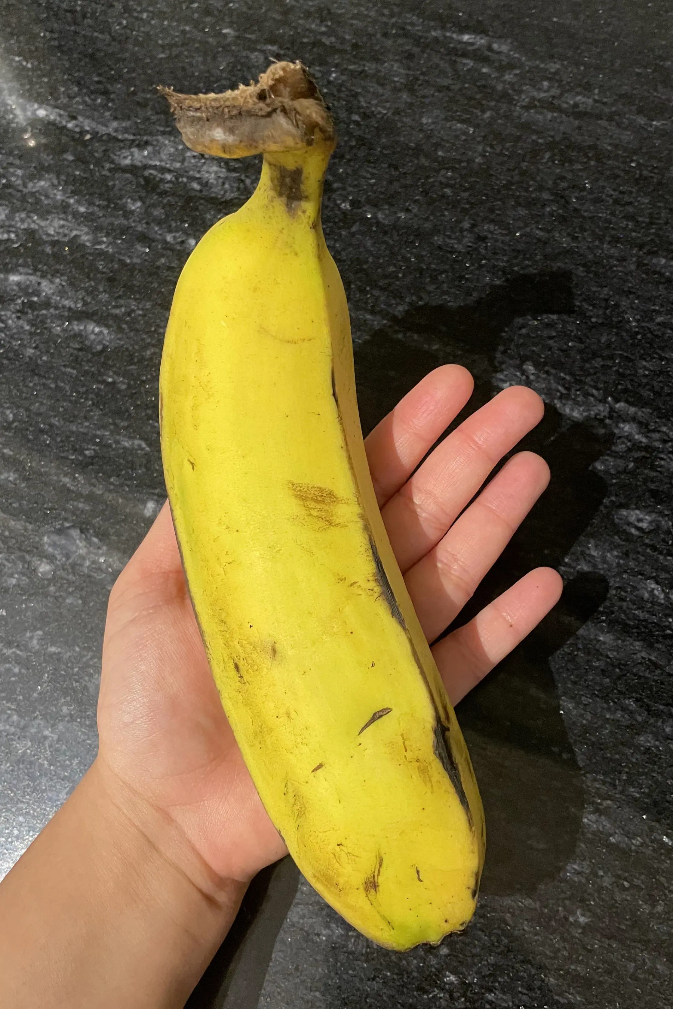 12 Unbelievably Massive Oddities That Will Amaze You! đ 19 Absolute Units of a banana