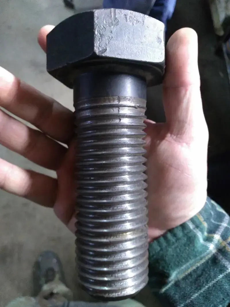 Uncover the 11 Ultimate Massive Oddities That Awe! đ 24 Absolute Units of a bolt