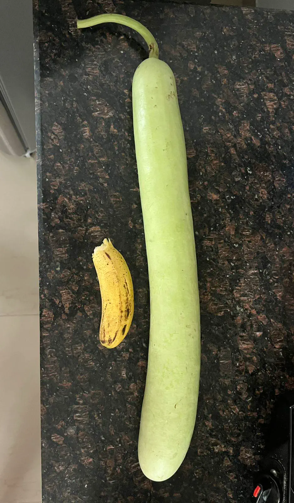 10 Unforgettable Massive Oddities You Must See! đ 18 Absolute Units of a bottle gourd (banana for scale)