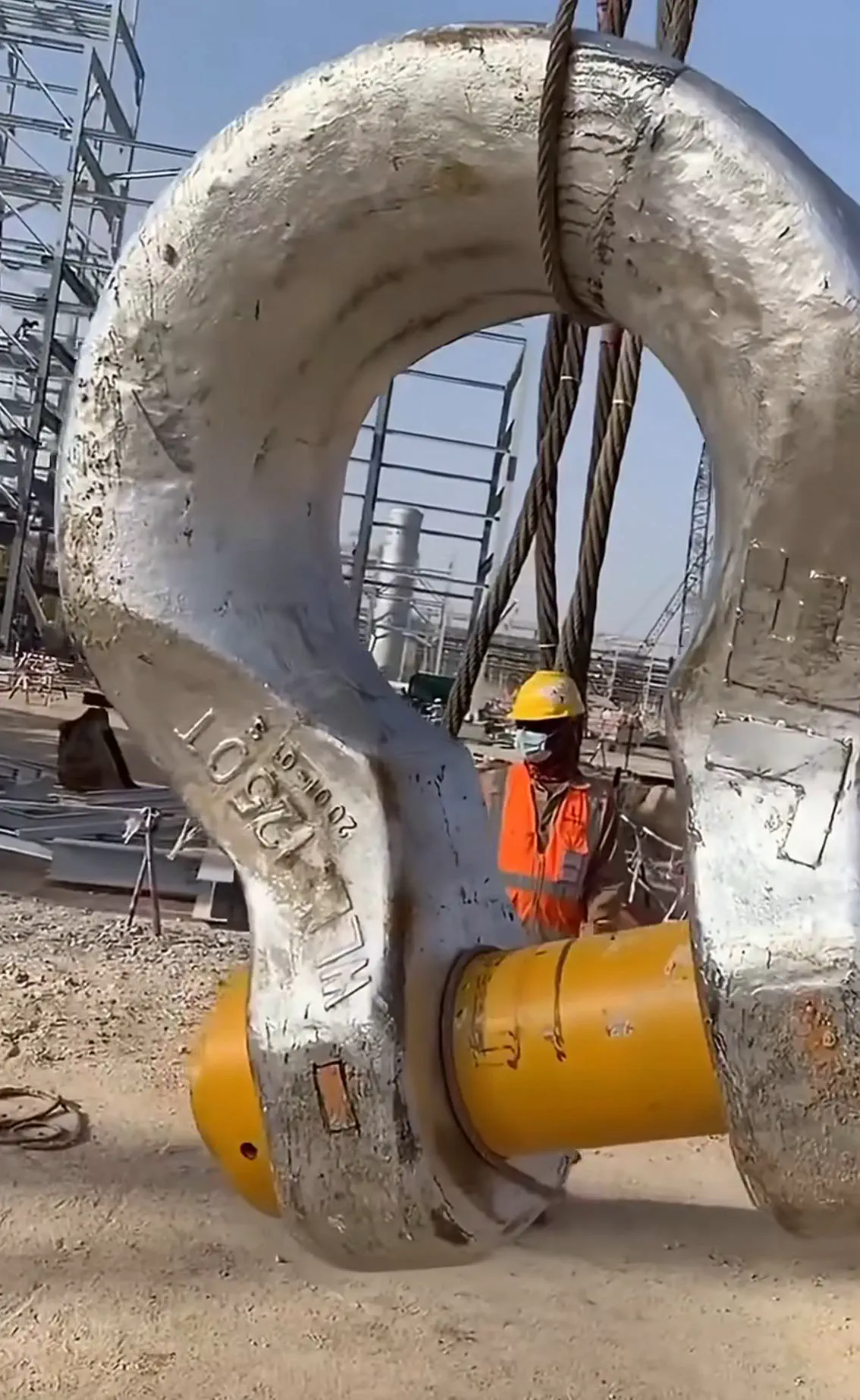 12 Unbelievably Massive Oddities That Will Amaze You! đ 17 Absolute Units of a bow shackle