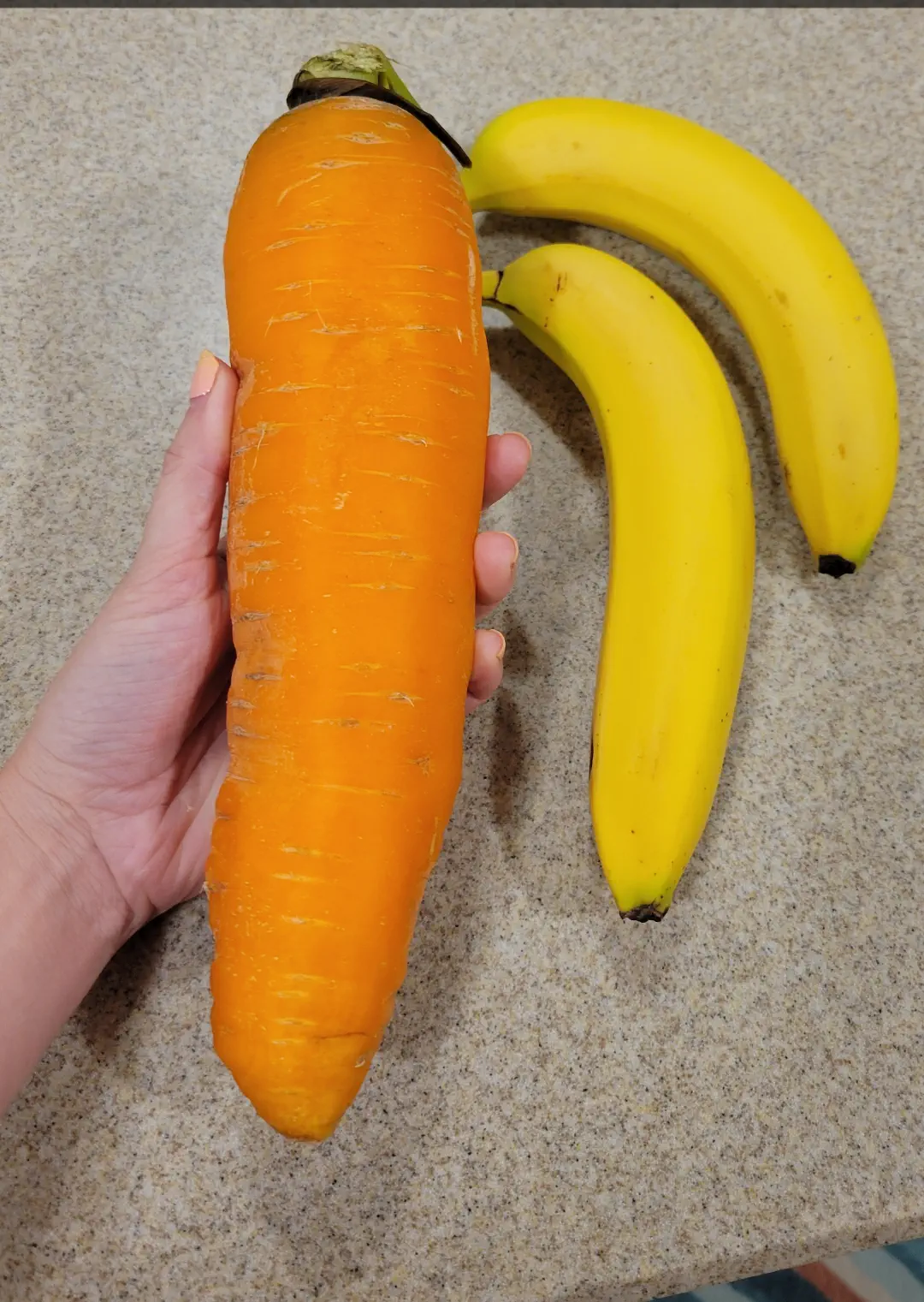 10 Chonky Oddities That Will Leave You Speechless! 🤯 16 Absolute Units of a Carrot