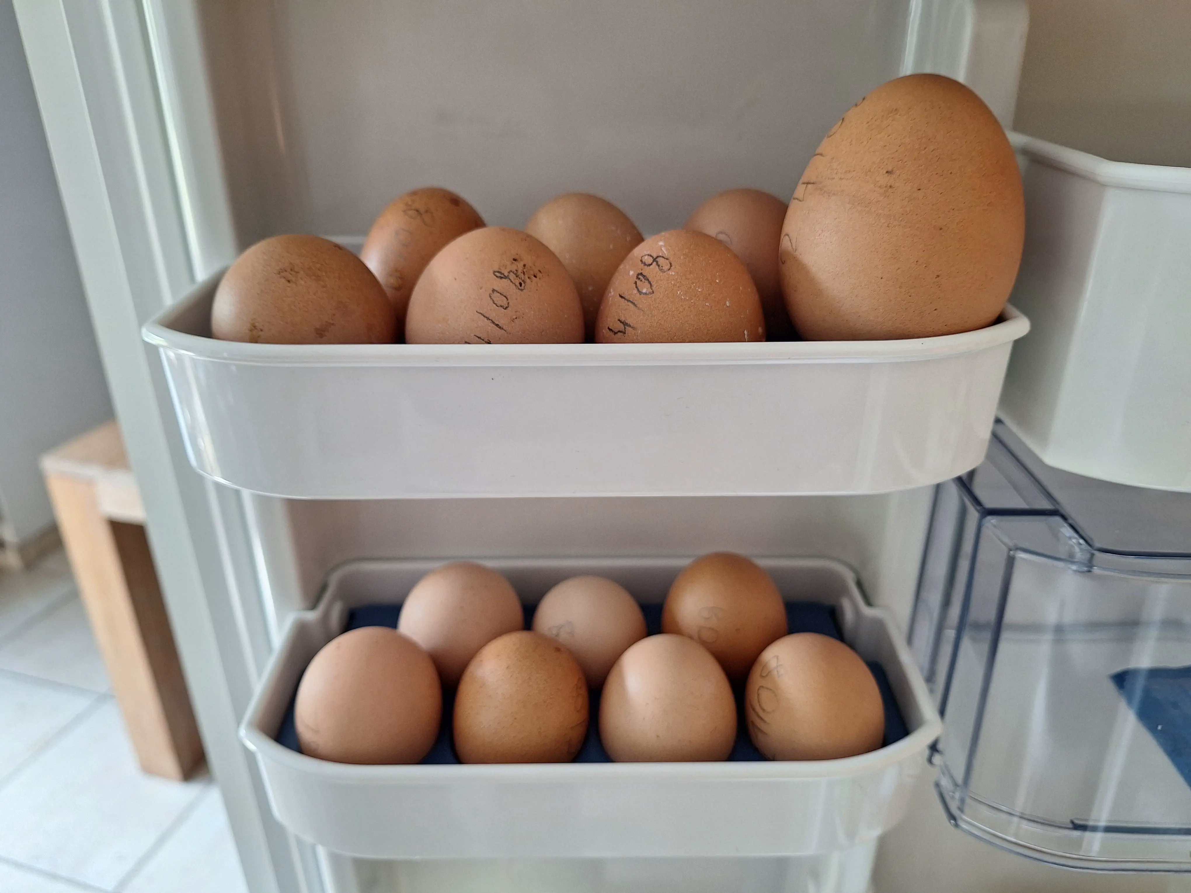 9 Unbelievable Absolute Units That Will Leave You Speechless! đ 20 Absolute Units of a chicken egg