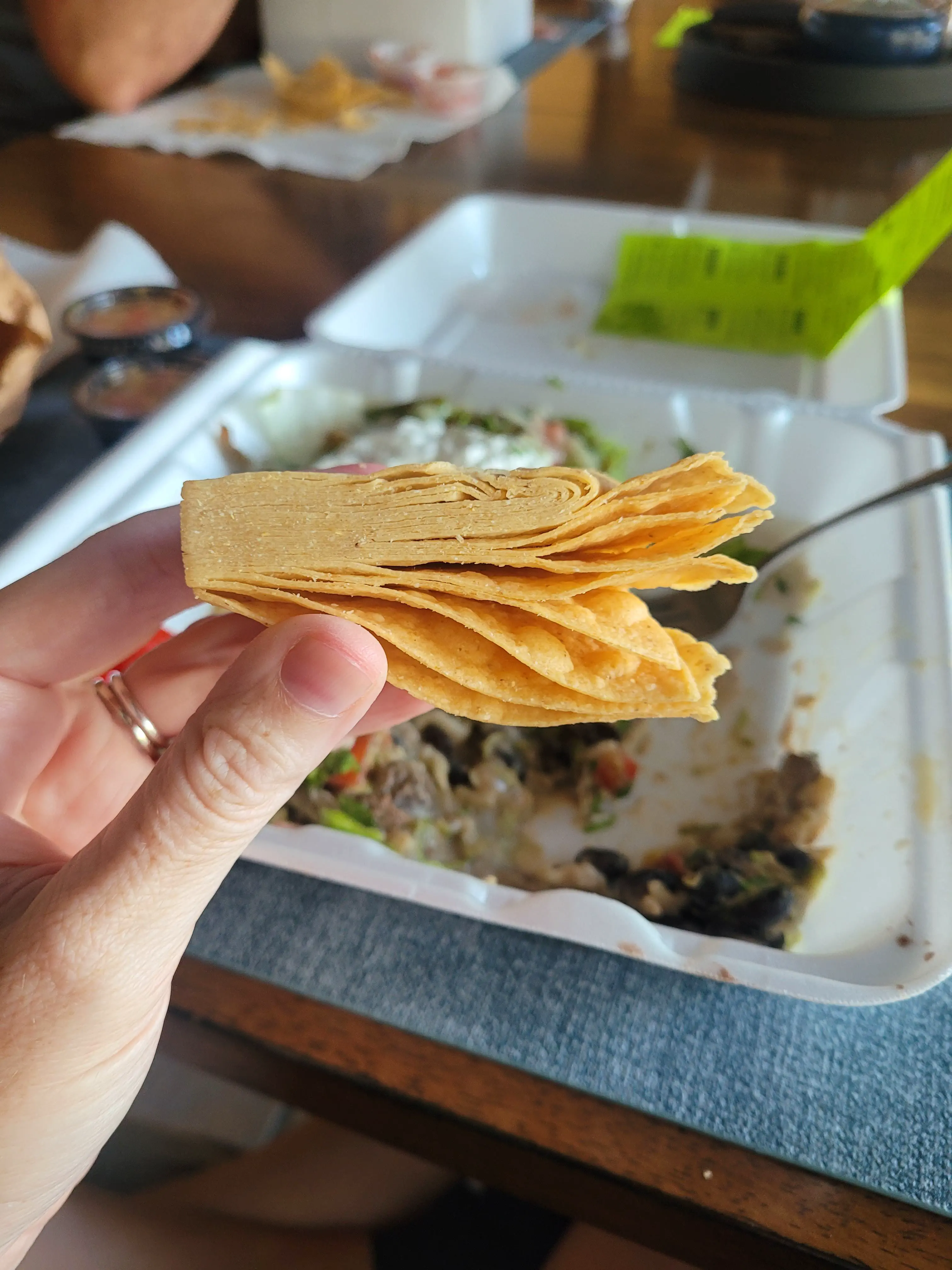 17 Colossal Creatures and Legends That Defy Size! 🦏🤯 33 Absolute Units of a chip