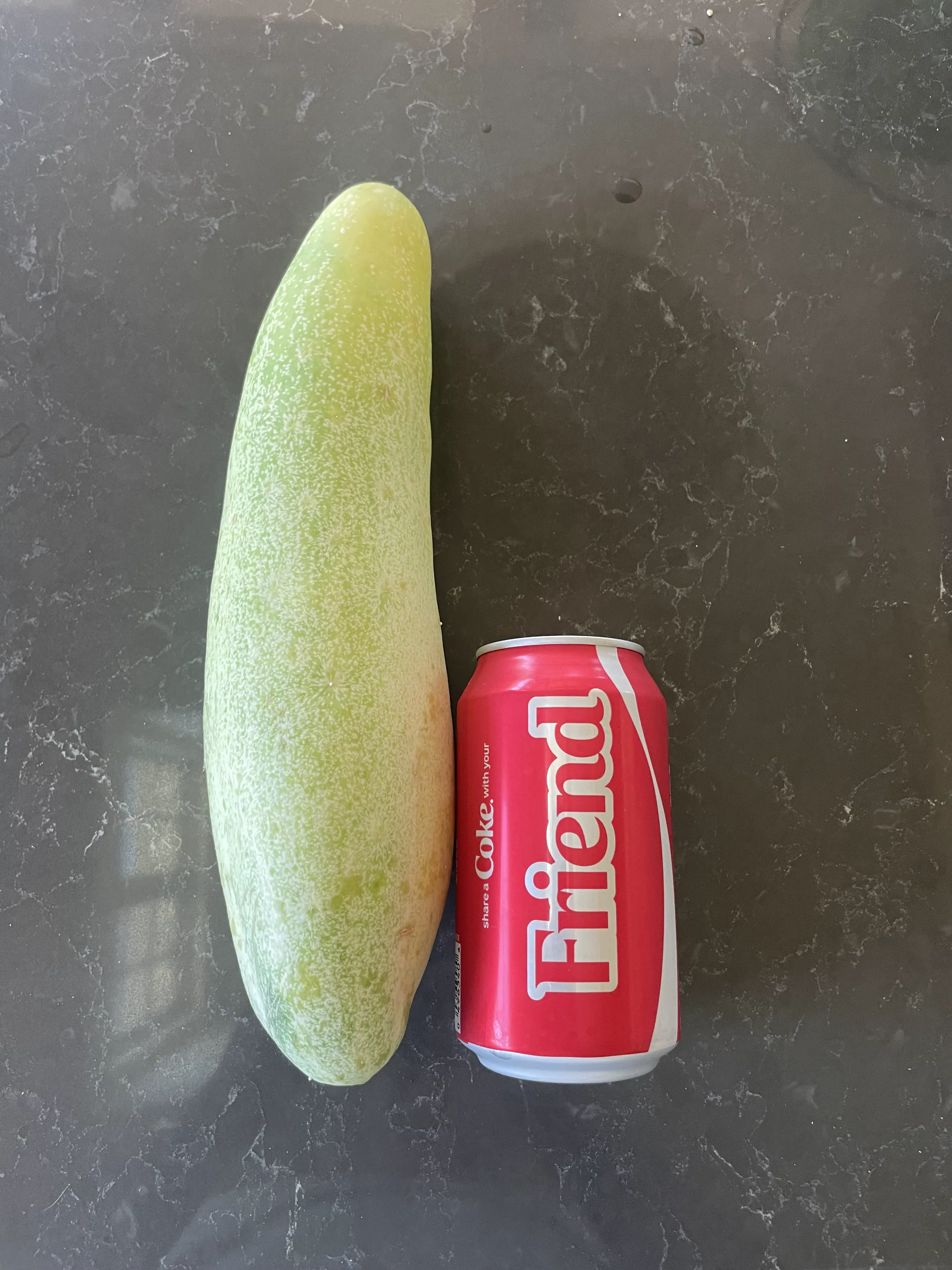 17 Colossal Creatures and Legends That Defy Size! 🦏🤯 28 Absolute Units of a cucumber from my wife's garden