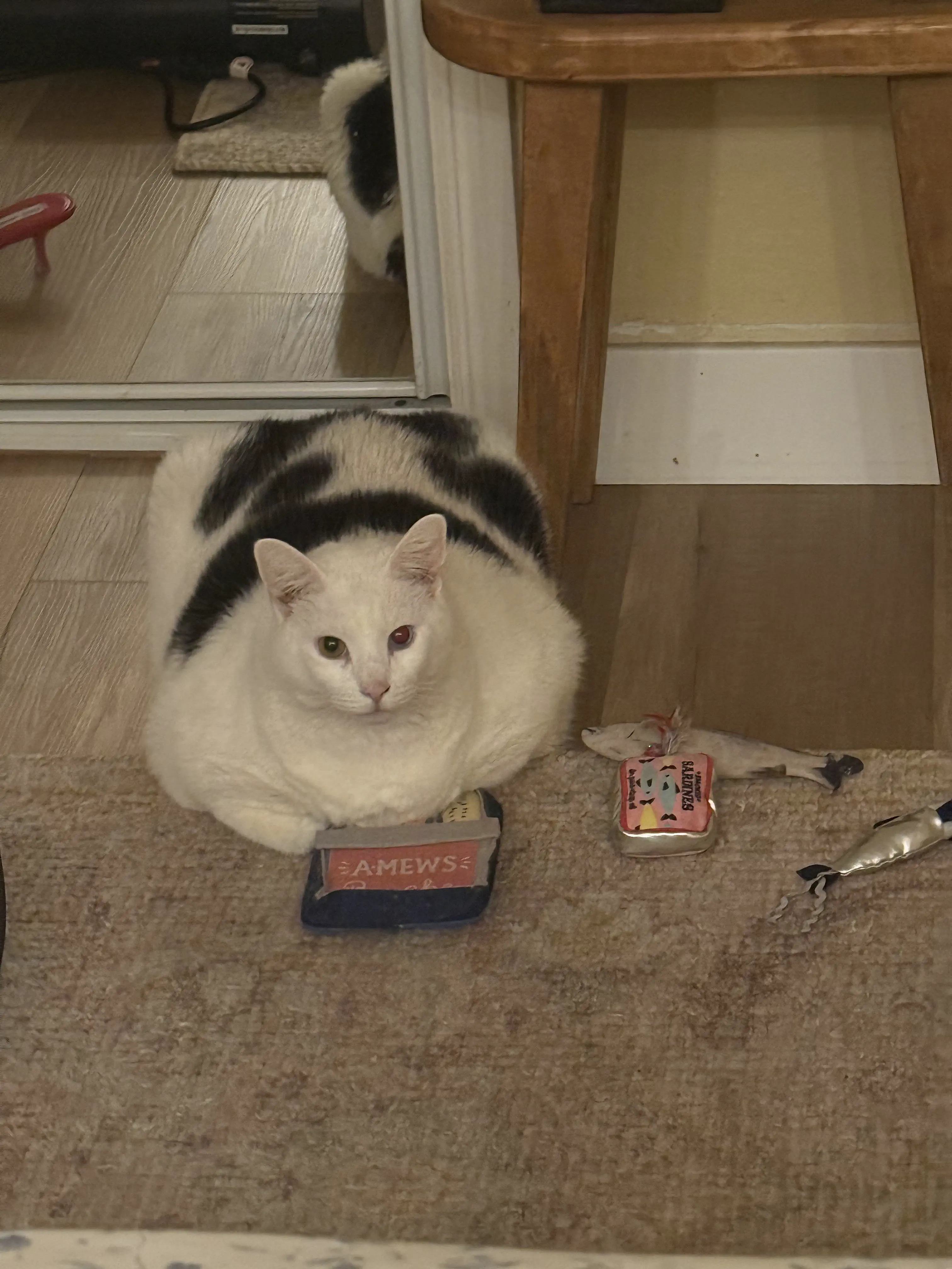 13 Extraordinary Giants Ready to Blow Your Mind! đ 32 Absolute Units of a dog.