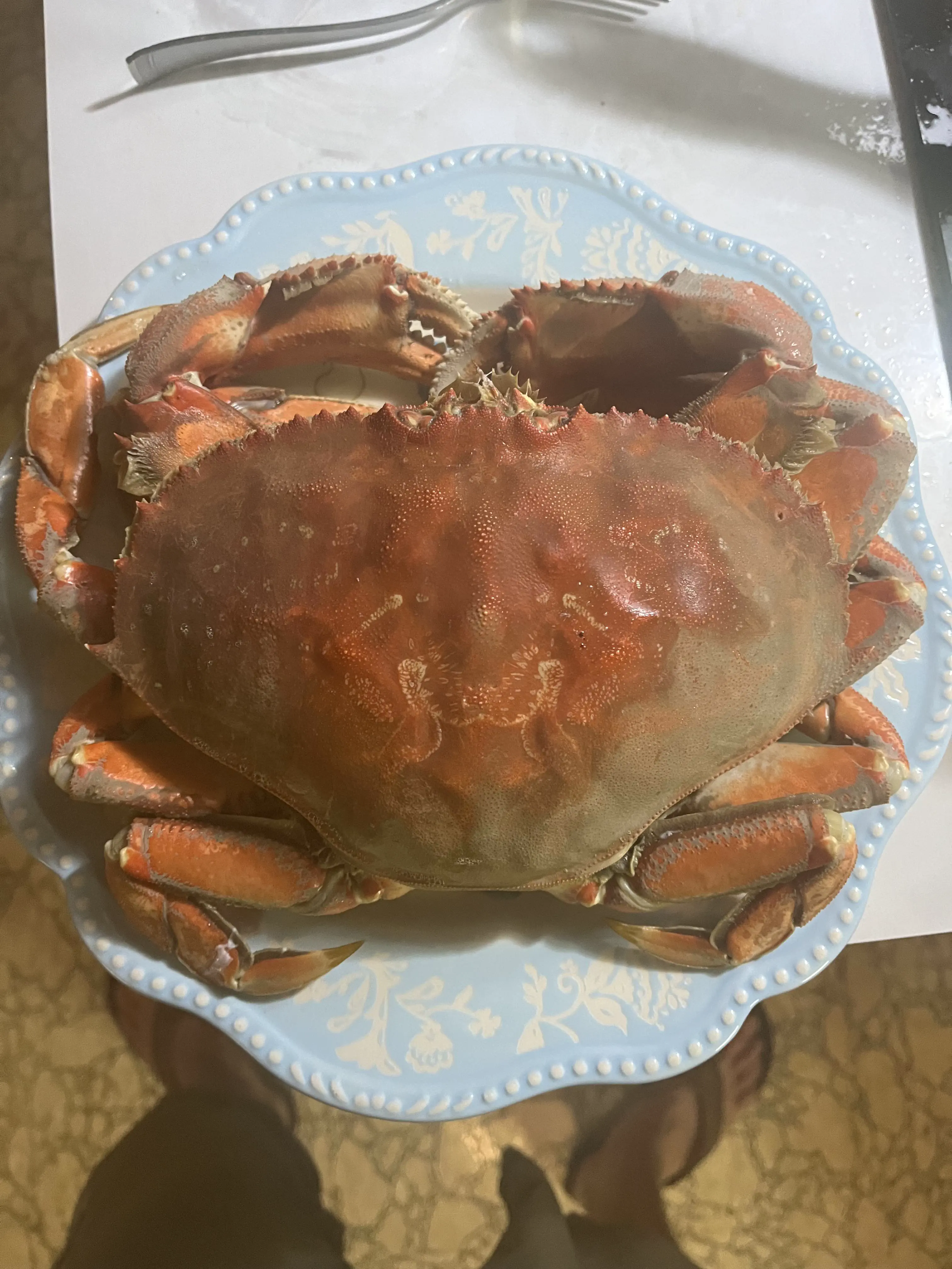 6 Incredible Absolute Units Guaranteed to Amaze You! đ€© 13 Absolute Units of a dungeness crab