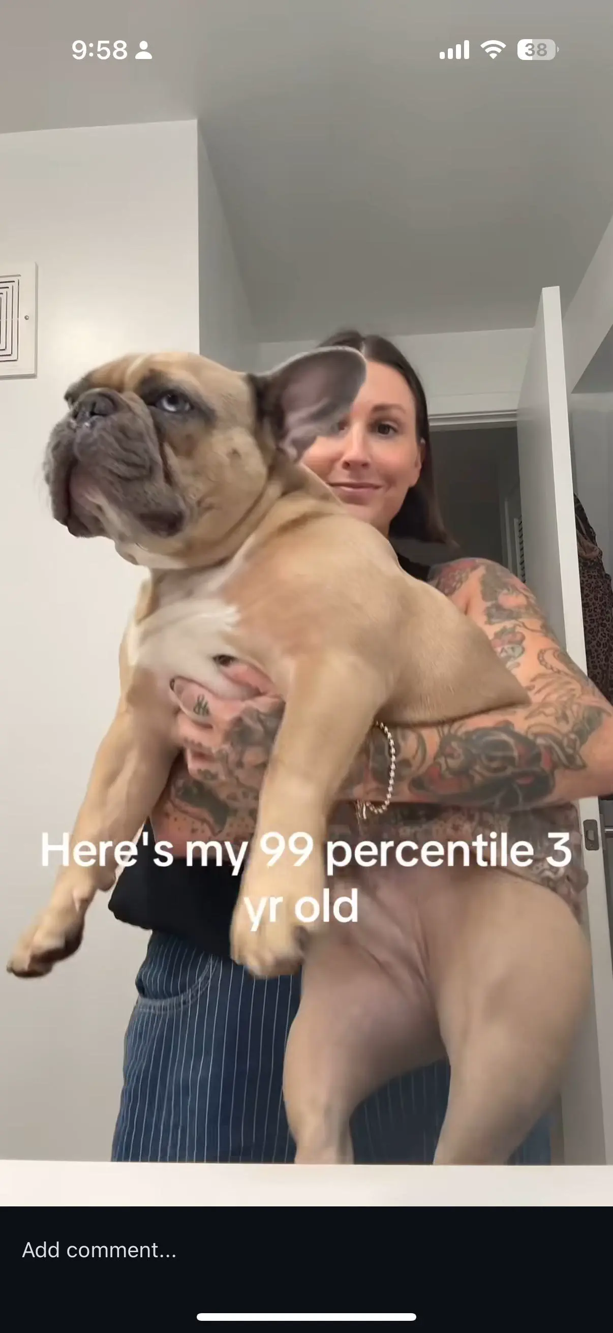 10 Colossal Creatures That Will Leave You Speechless! đ» 13 Absolute Units of a Frenchie