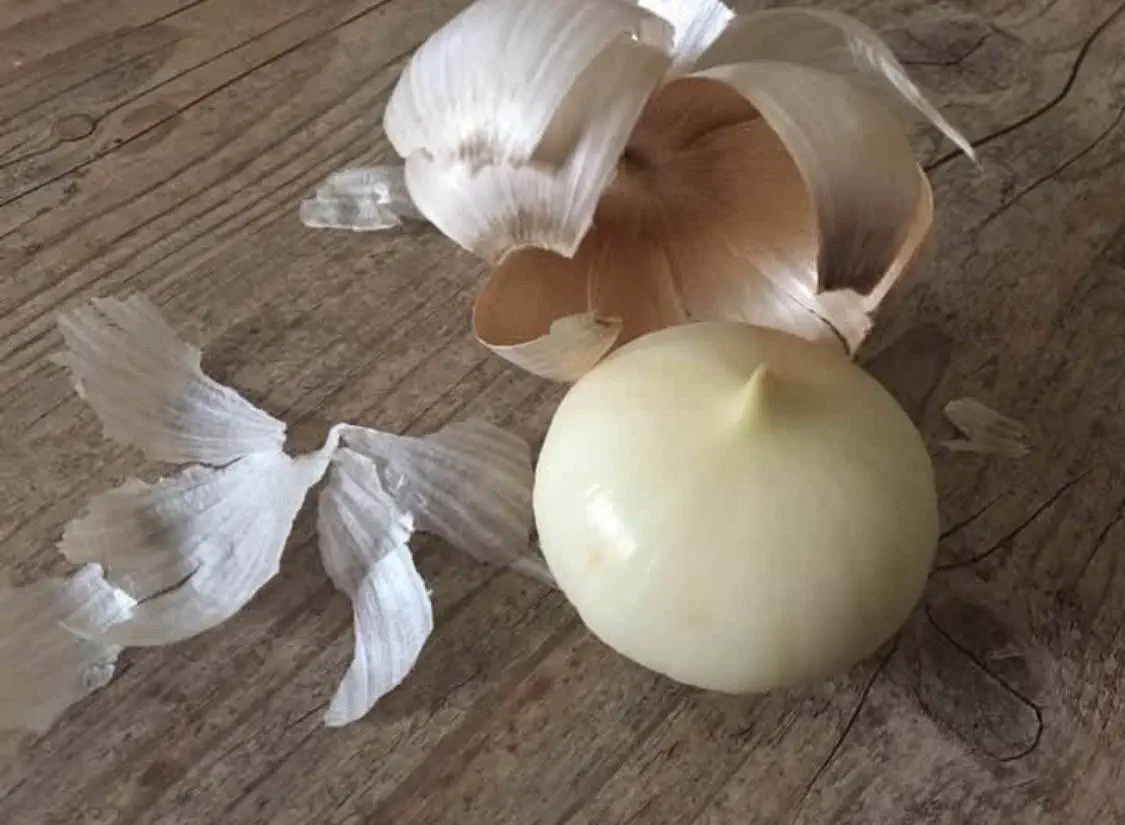 12 Unbelievably Massive Oddities That Will Amaze You! đ 16 Absolute Units of a garlic round