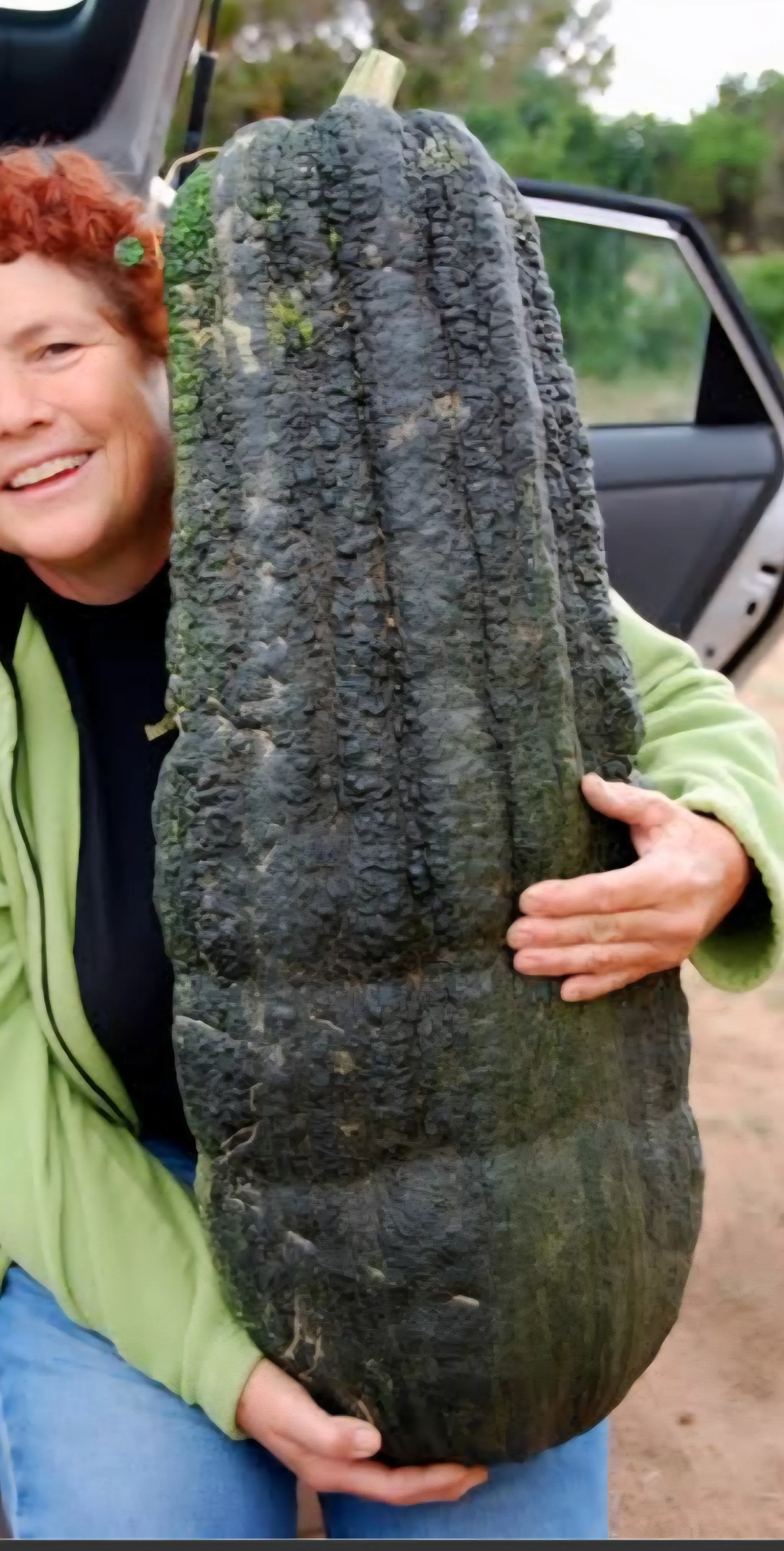 9 Unbelievable Absolute Units That Will Leave You Speechless! đ 19 Absolute Units of a gourd