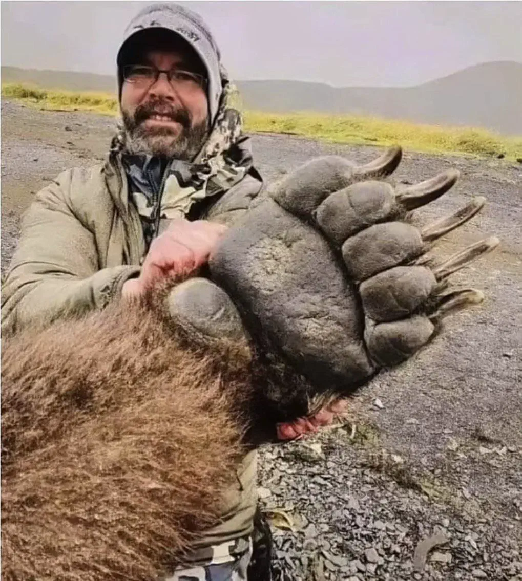 10 Unbelievable Massive Oddities You Have to See! 🦁🤯 17 Absolute Units of a grizzly bear paw