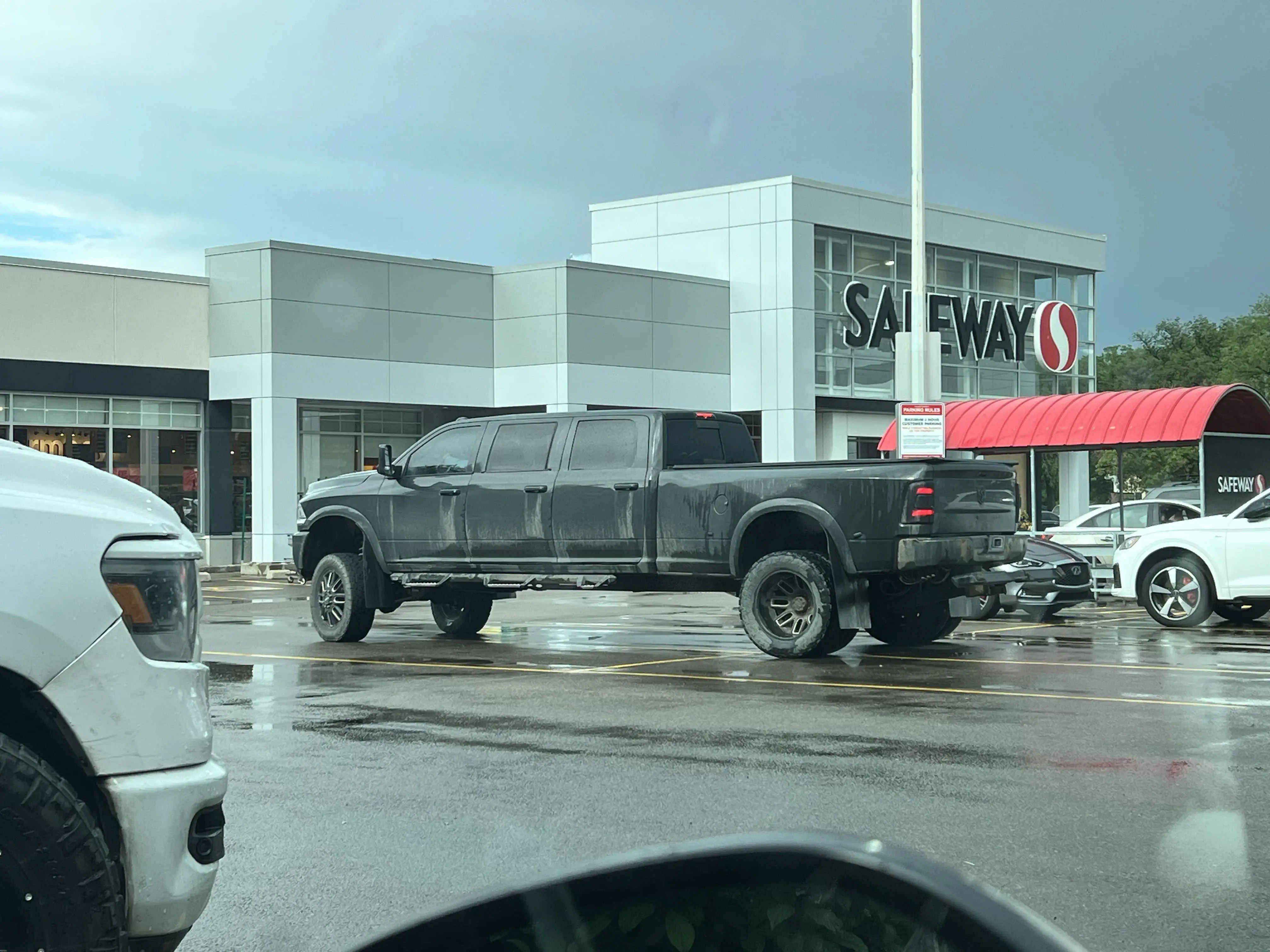 Uncovering 11 Massive Oddities That Will Leave You in Awe! 🐾 15 Absolute Units of a grocery getter