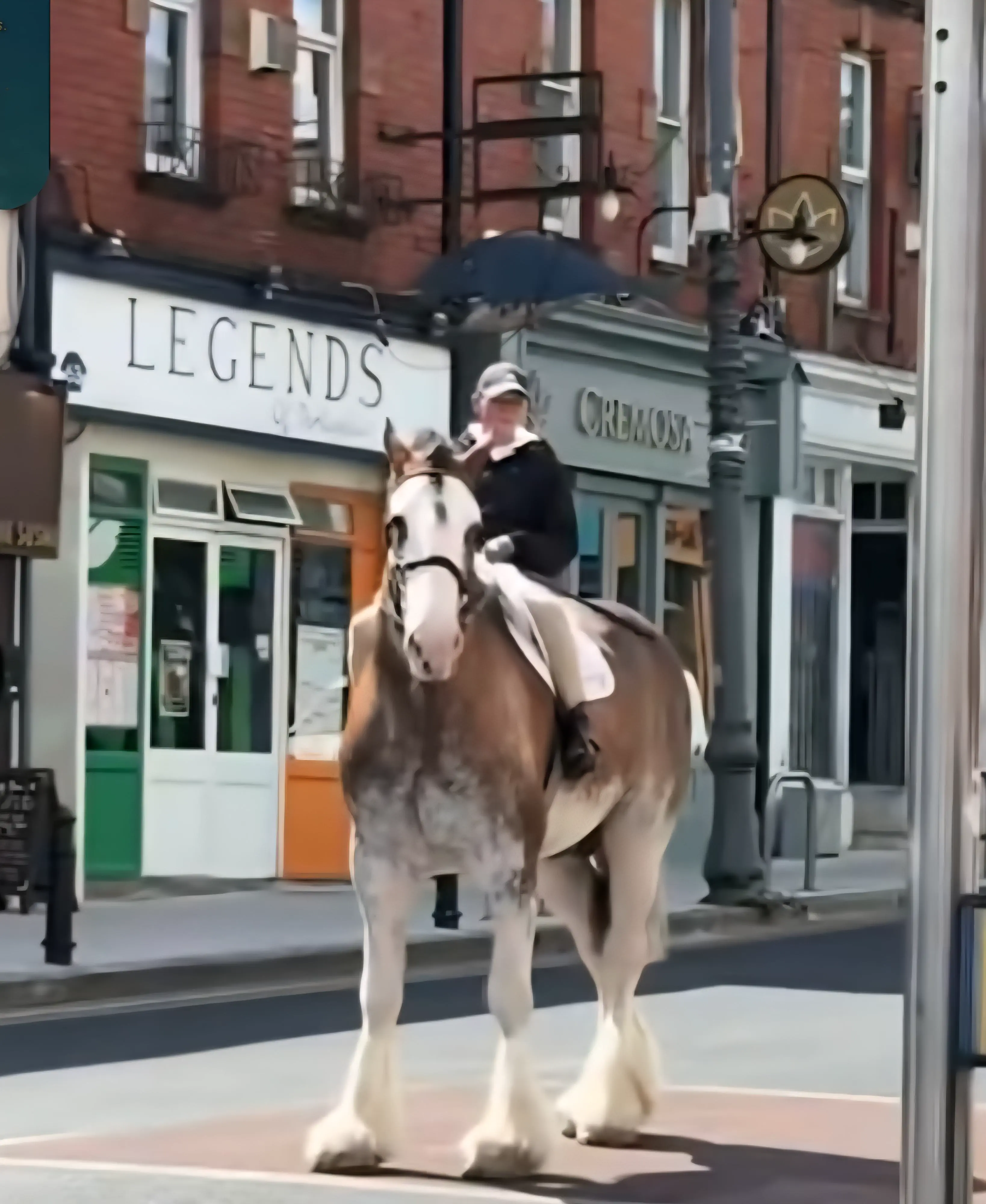 10 Unbelievable Massive Oddities You Have to See! 🦁🤯 14 Absolute Units of a horse