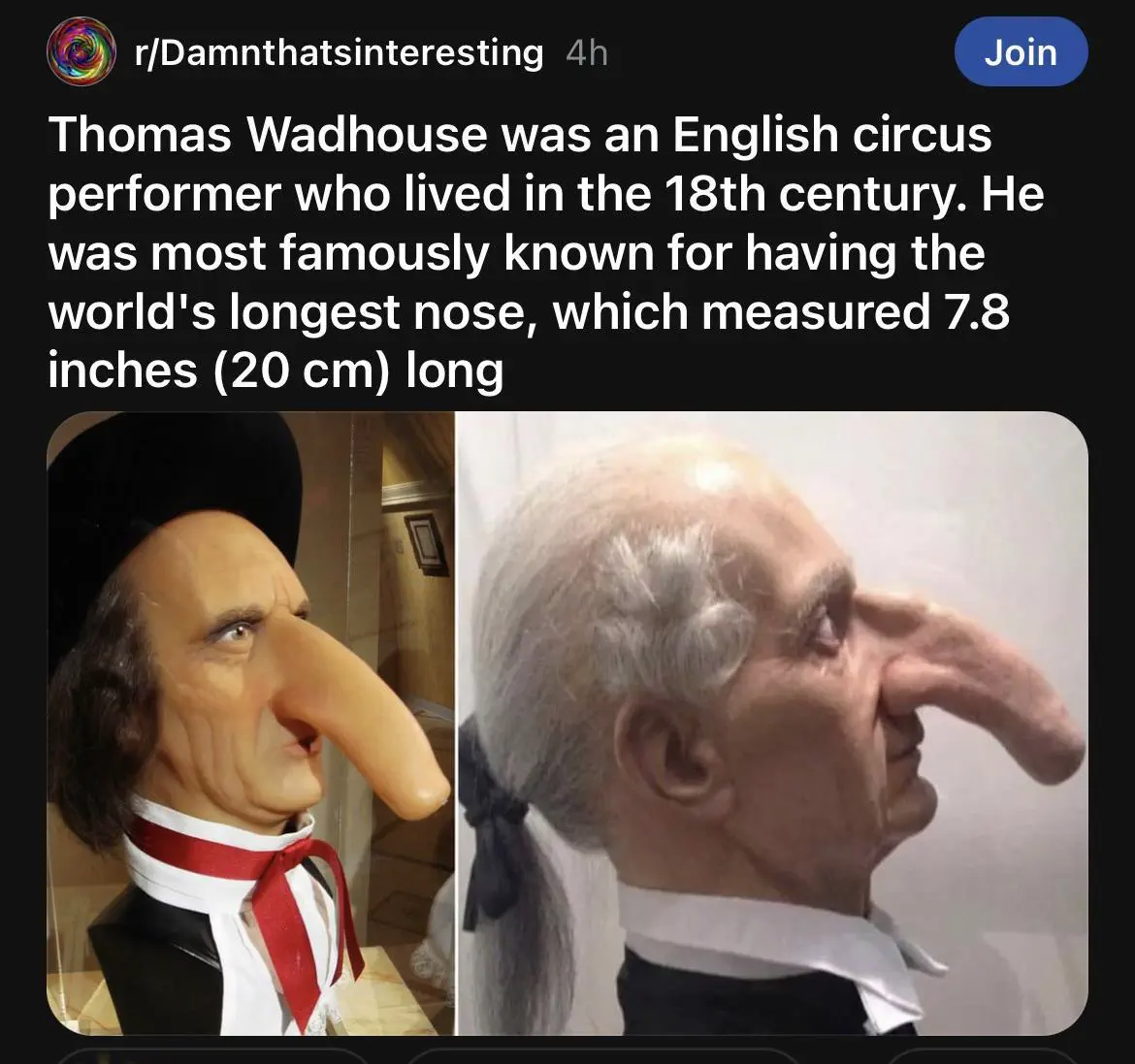 12 Shocking Absolute Units You'll Have to See! đČ 25 Absolute Units of a nose.. don't threaten me with a good time