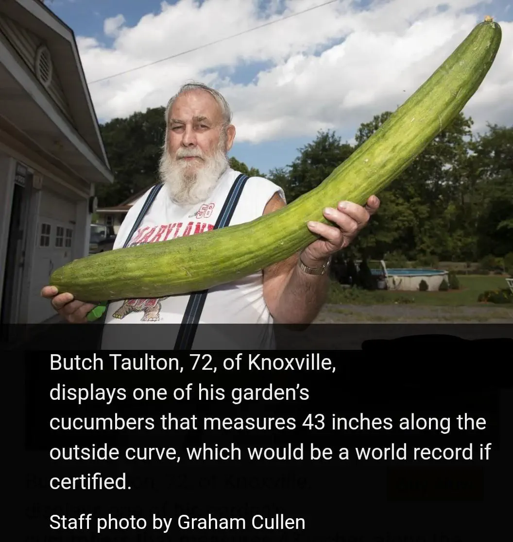 9 Unbelievable Absolute Units That Will Leave You Speechless! đ 12 Absolute Units of a pickling cucumber đ€