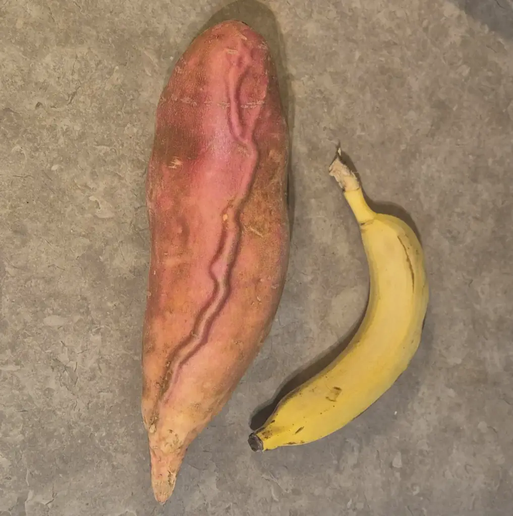 10 Unbelievable Massive Oddities You Have to See! 🦁🤯 86 absolute units of a sweet potato