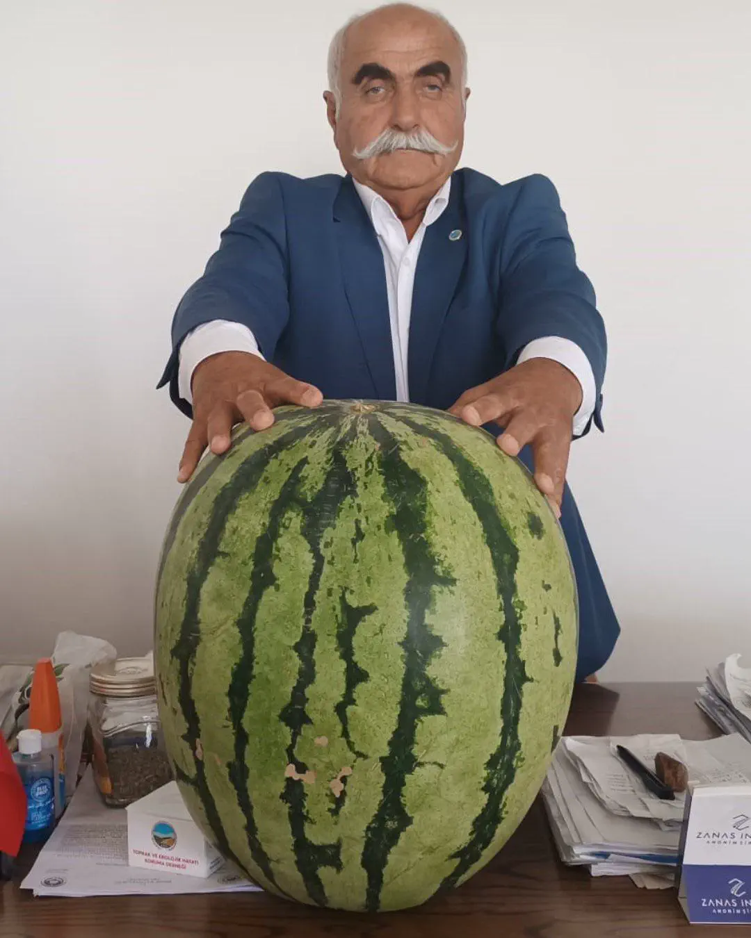 Uncover the 11 Ultimate Massive Oddities That Awe! đ 18 Absolute Units of a watermelon, 45 kg