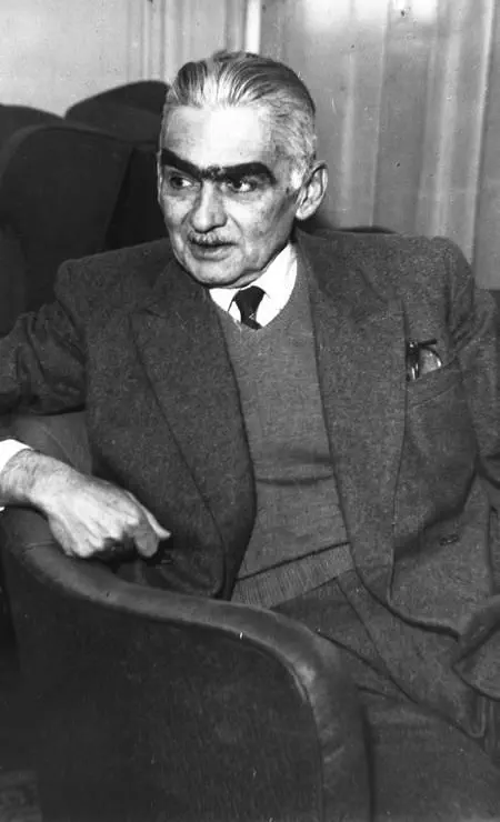 Witness 8 Astonishing Absolute Units That Will Dazzle You! ✨ 17 Absolute Units of an eyebrow.