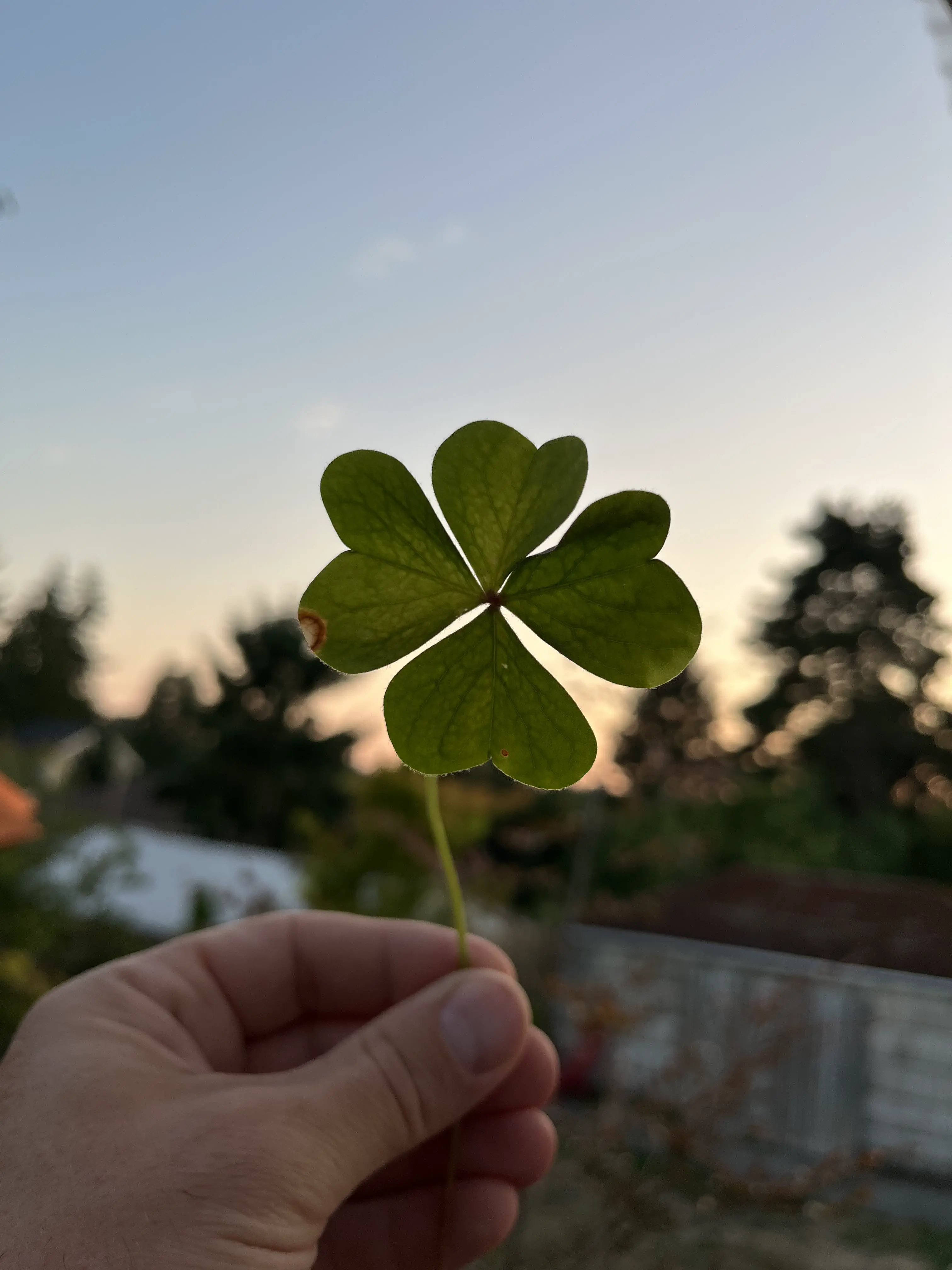 12 Shocking Absolute Units You'll Have to See! đČ 18 Absolute Units of luck