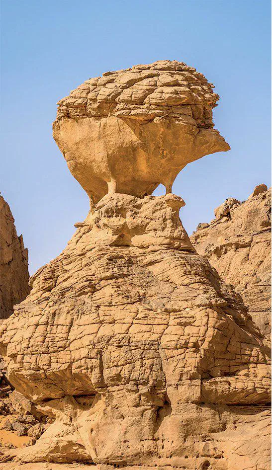 10 Unforgettable Massive Oddities You Must See! đ 20 Absolute Units of Rock formation in the shape of a hedgehog.