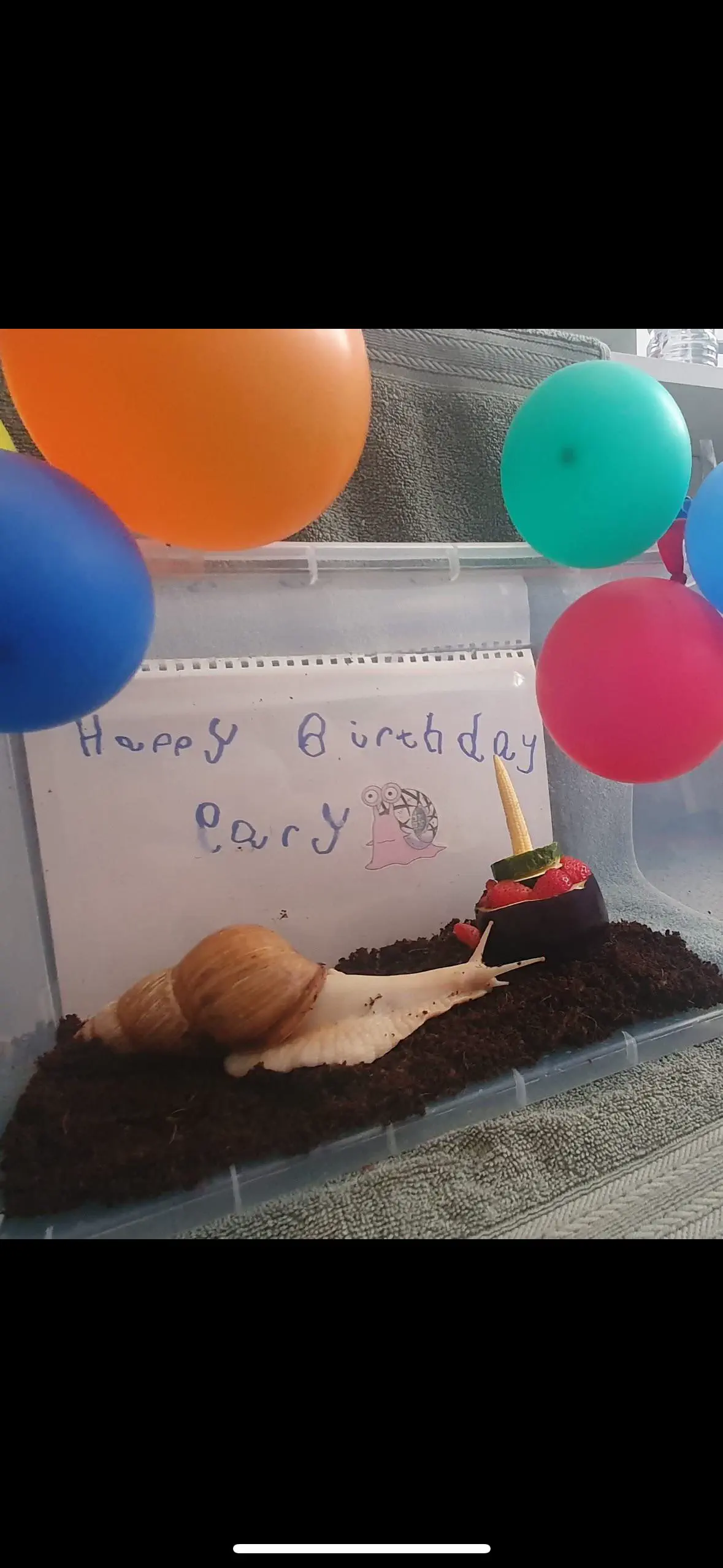 12 Unbelievably Massive Oddities That Will Amaze You! đ 23 Absolute Units of snail on his birthday