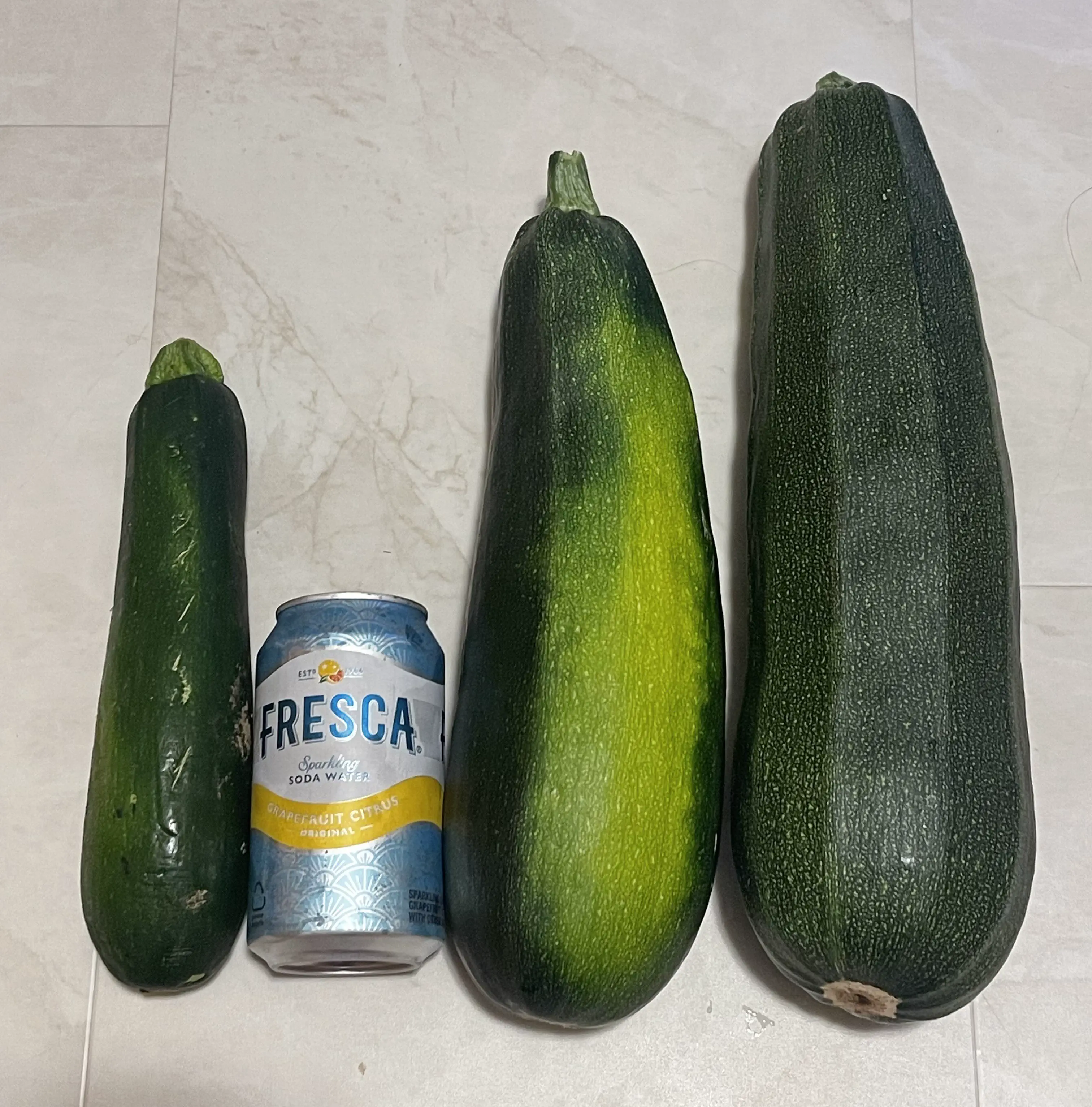 Uncovering 11 Massive Oddities That Will Leave You in Awe! 🐾 22 Absolute Units of store-bought vs backyard zucchinis