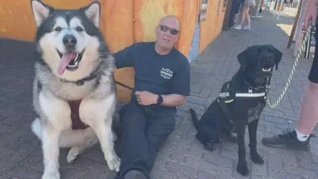 12 Insanely Large Oddities That Will Leave You Amazed! đ€ŻđŸ 18 Absolute Units of a 13-stone Arctic dog with a collar size of his owner's waist.