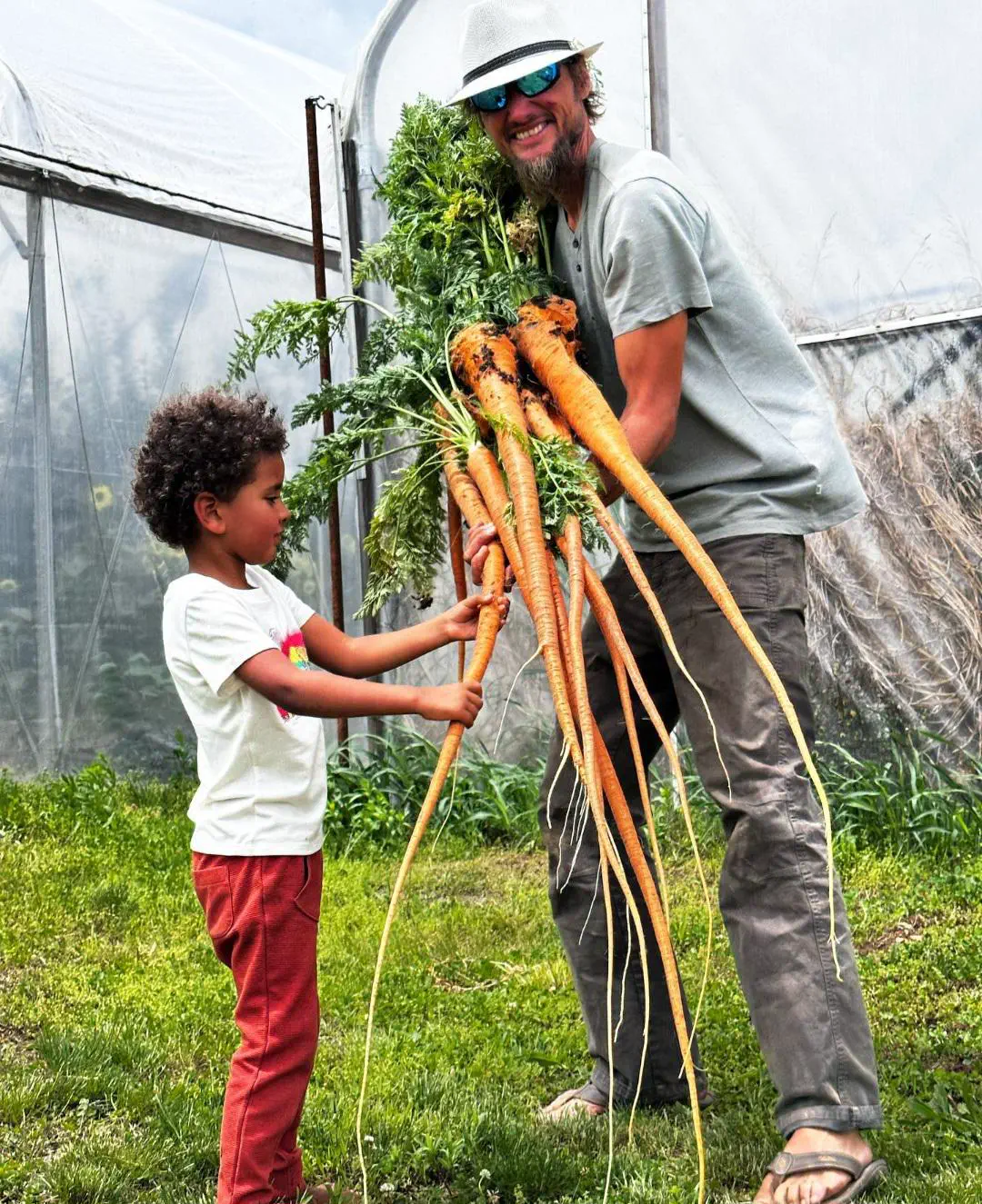 12 Insanely Large Oddities That Will Leave You Amazed! đ€ŻđŸ 17 Absolute Units of a bunch of carrots