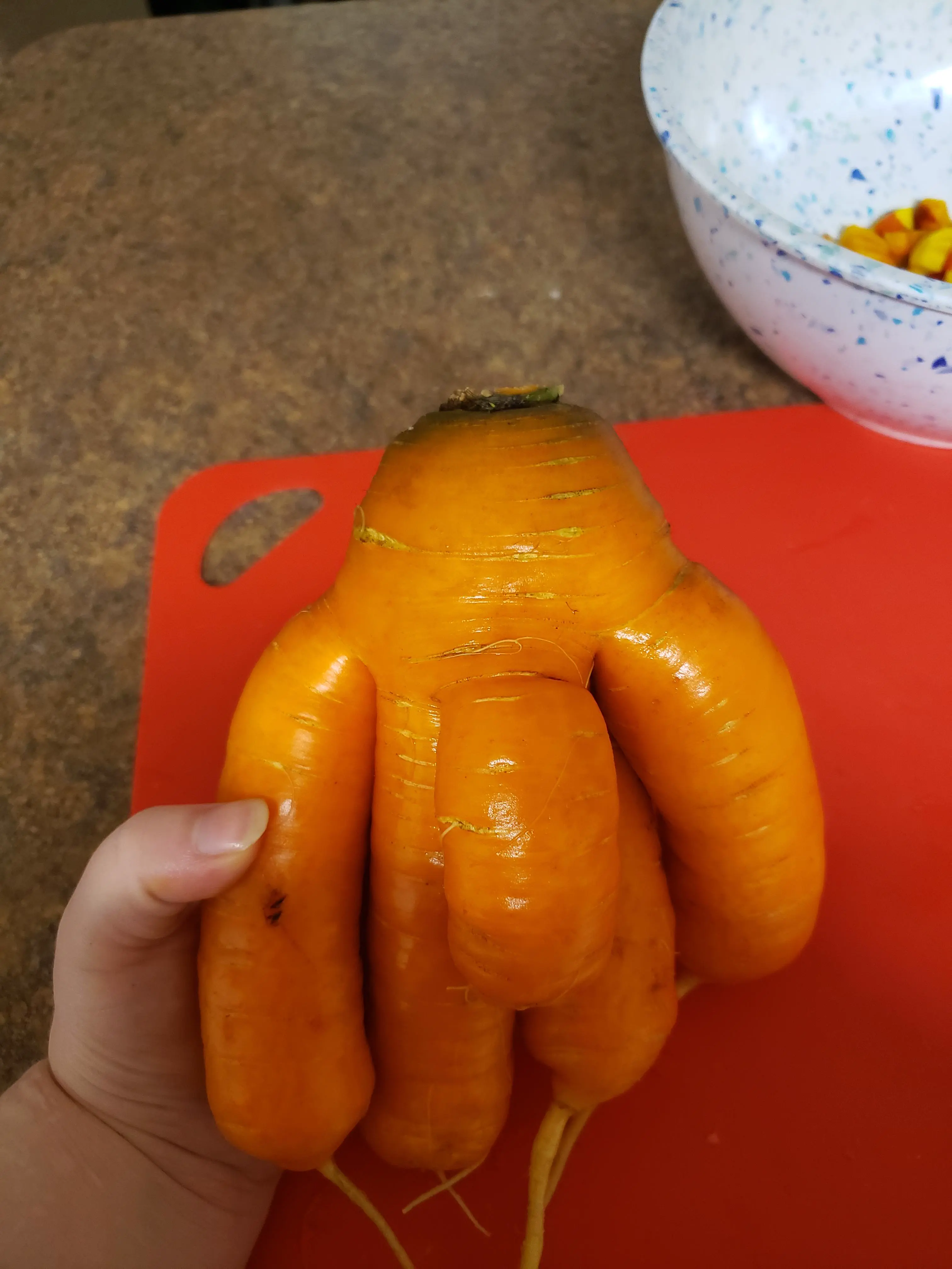 12 Unforgettable Oddities That Will Challenge Your Perception! đ€Ż 25 Absolute Units of a carrot
