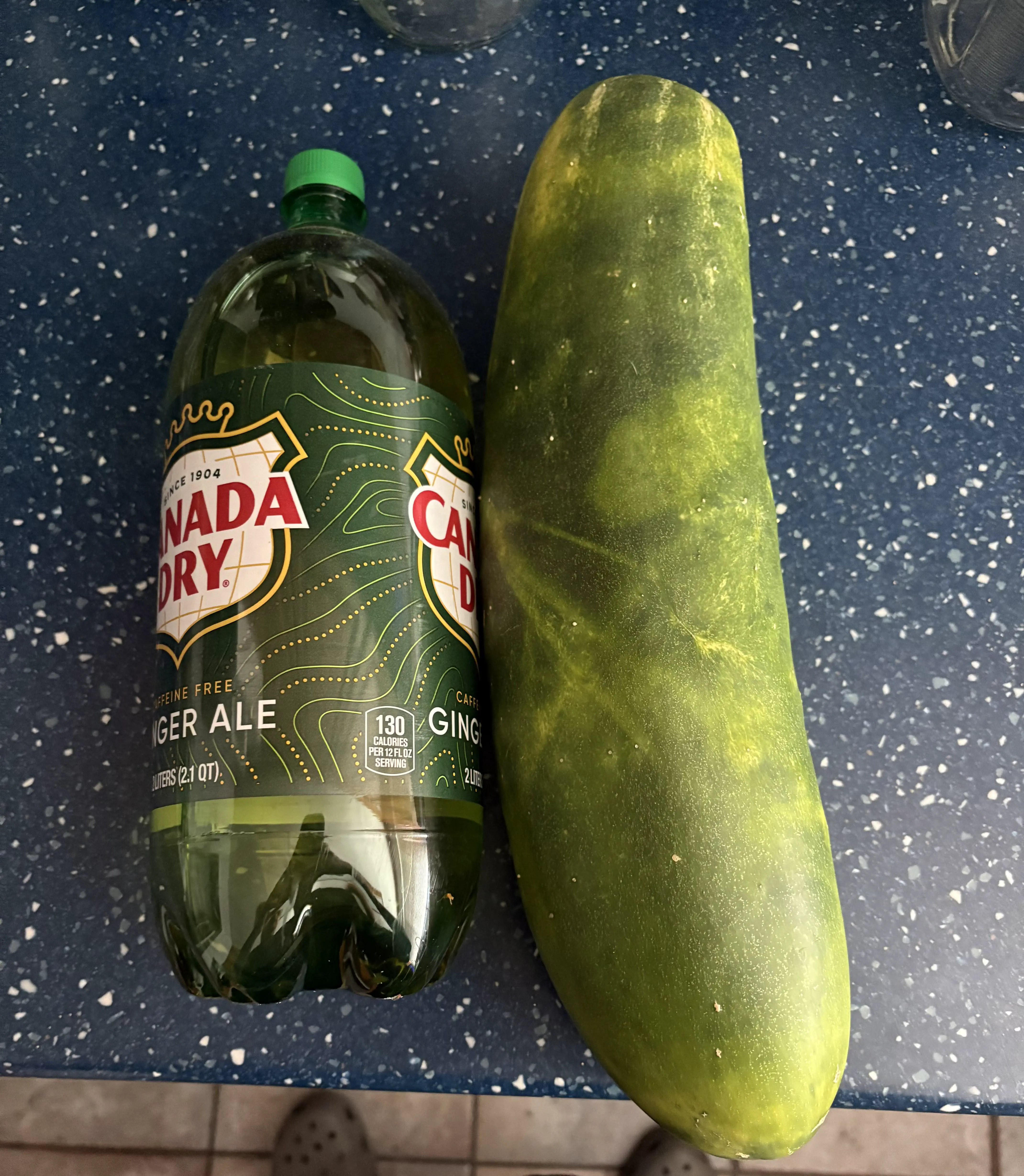 9 Astonishing Absolute Units You Won't Believe Exist! đŸ 14 Absolute Units of a cucumber
